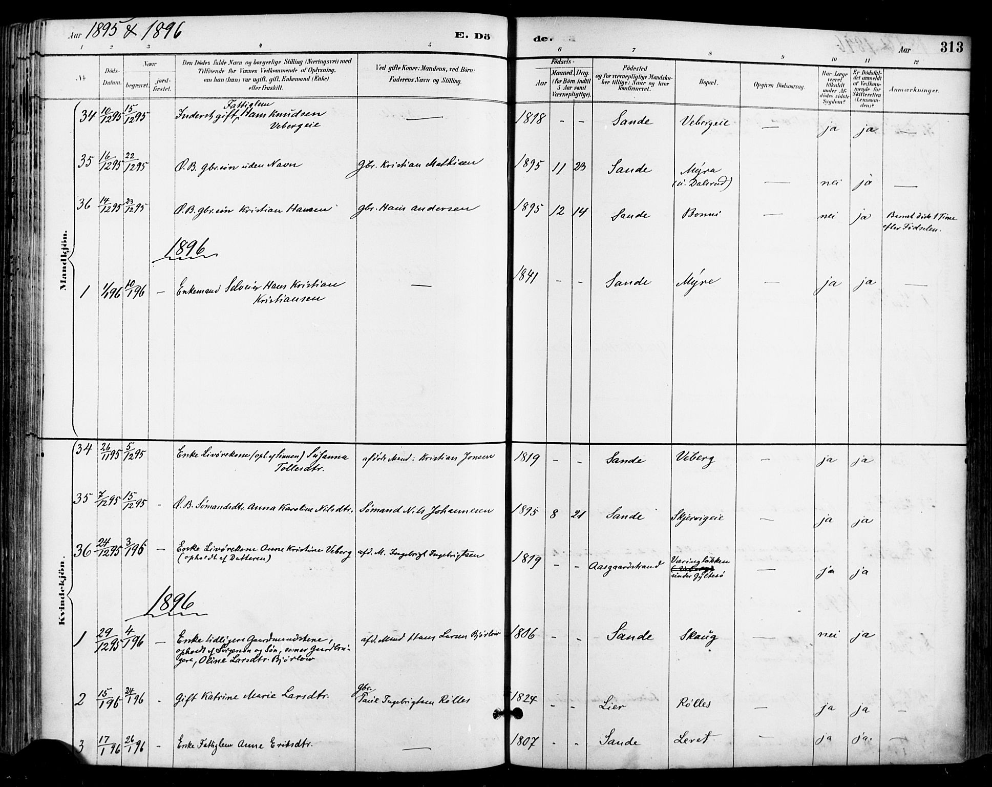 Sande Kirkebøker, AV/SAKO-A-53/F/Fa/L0007: Parish register (official) no. 7, 1888-1903, p. 313