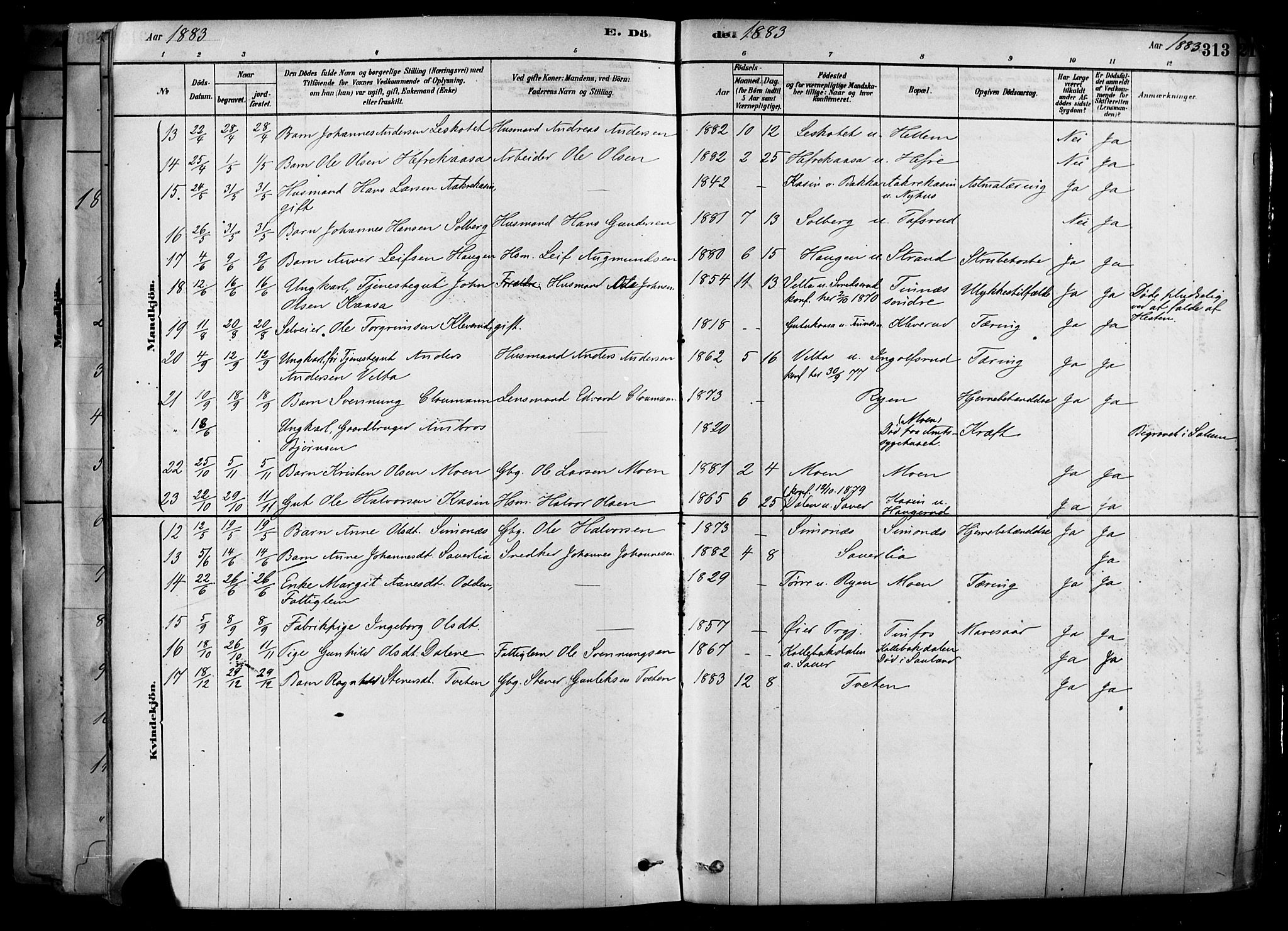 Heddal kirkebøker, AV/SAKO-A-268/F/Fa/L0008: Parish register (official) no. I 8, 1878-1903, p. 313