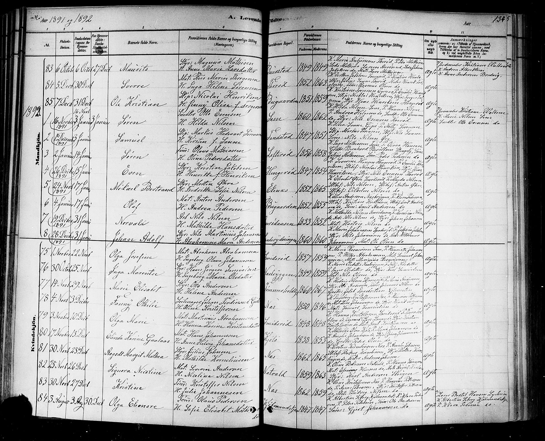 Nøtterøy kirkebøker, AV/SAKO-A-354/F/Fa/L0008: Parish register (official) no. I 8, 1878-1893, p. 134