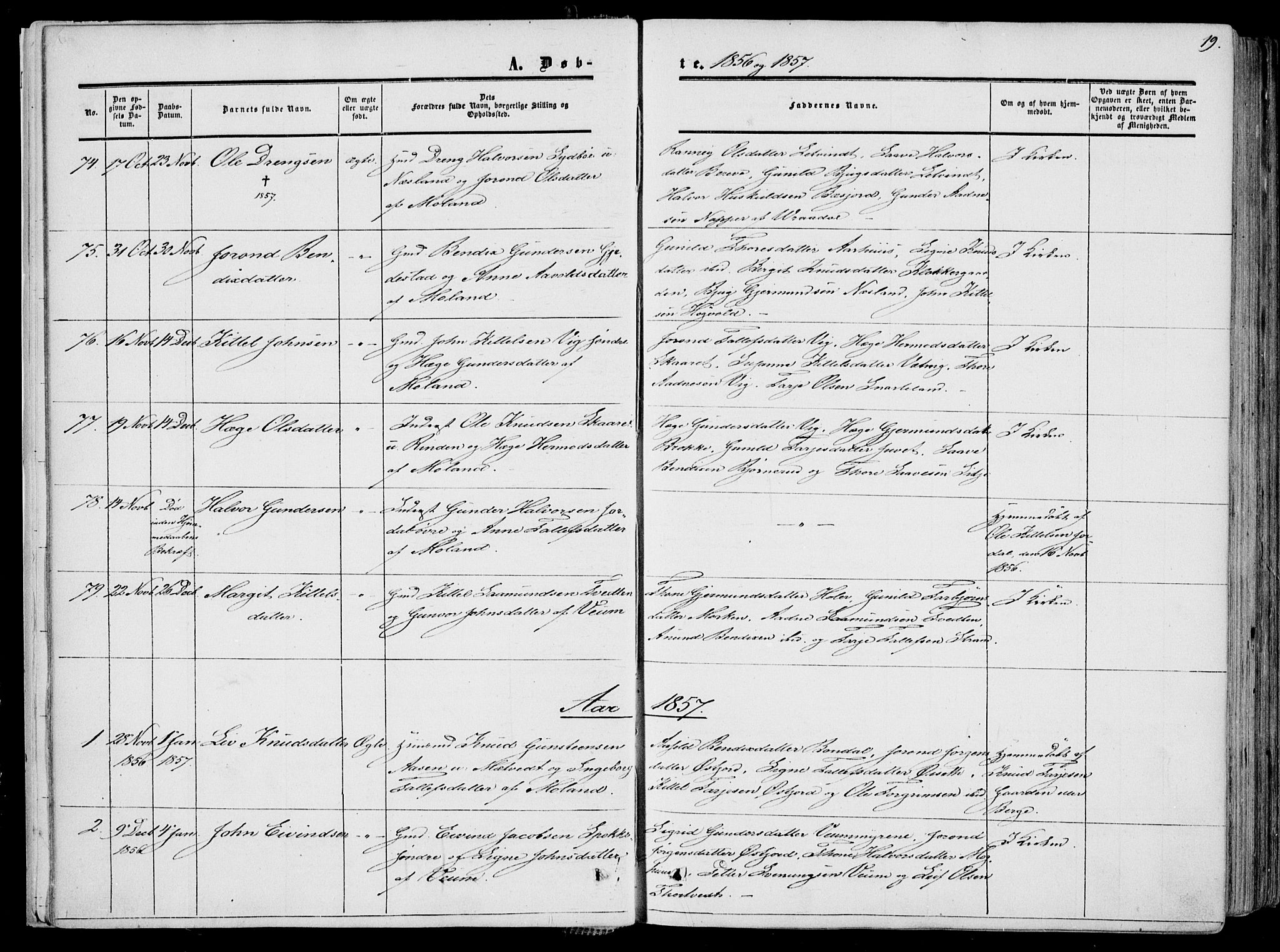 Fyresdal kirkebøker, SAKO/A-263/F/Fa/L0005: Parish register (official) no. I 5, 1855-1871, p. 19