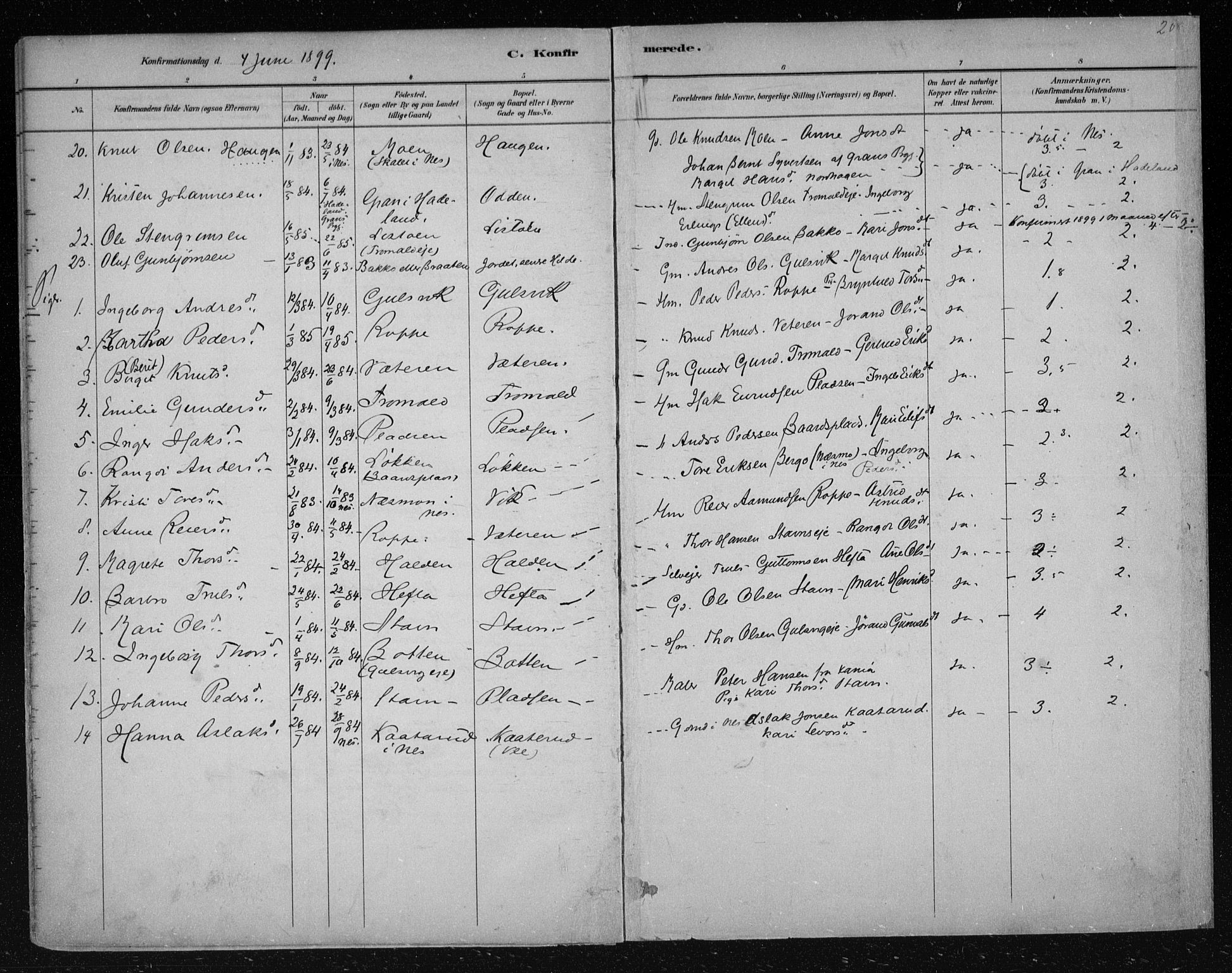 Nes kirkebøker, AV/SAKO-A-236/F/Fa/L0012: Parish register (official) no. 12, 1881-1917, p. 208