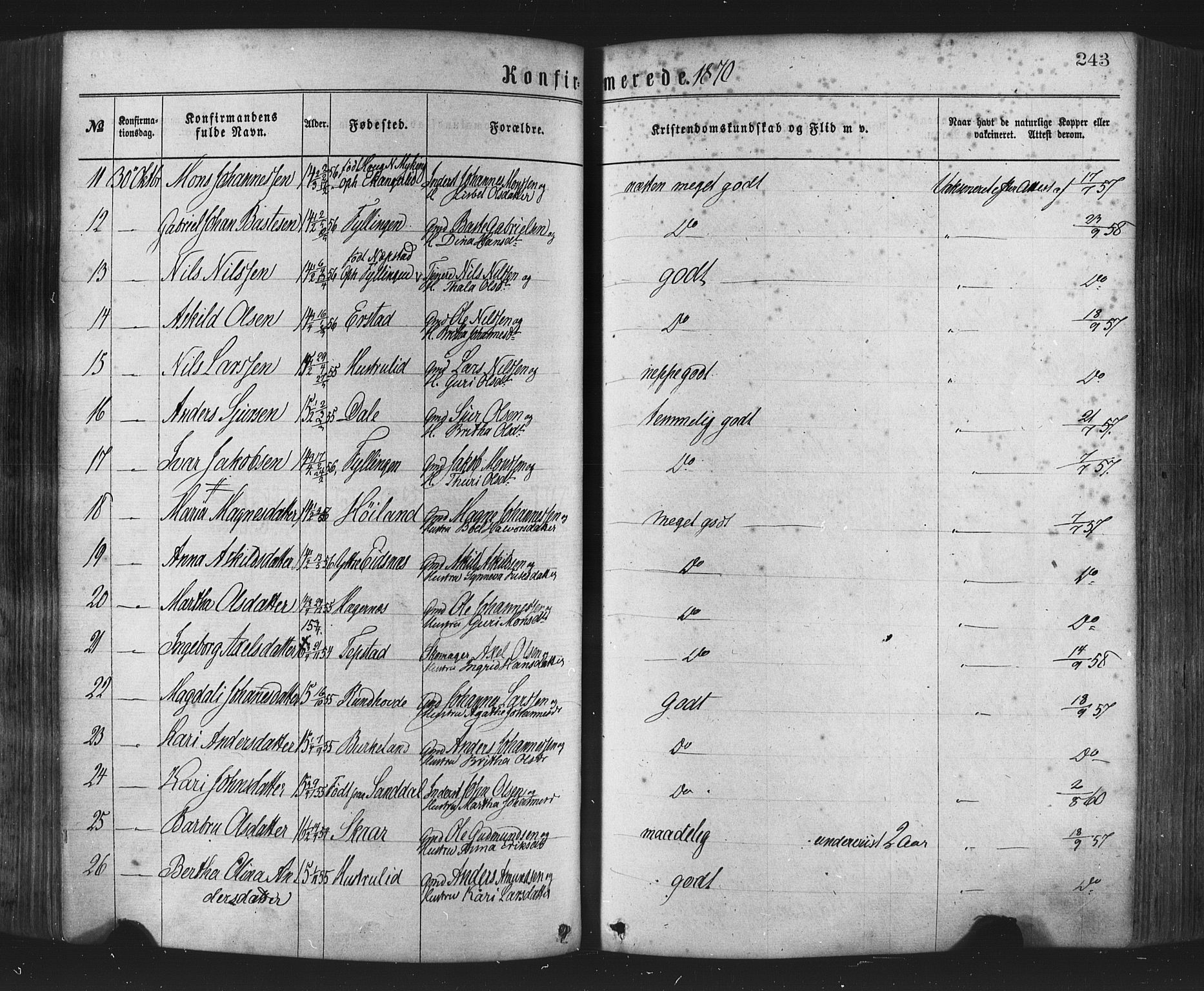 Hamre sokneprestembete, AV/SAB-A-75501/H/Ha/Haa/Haaa/L0015: Parish register (official) no. A 15, 1870-1881, p. 243