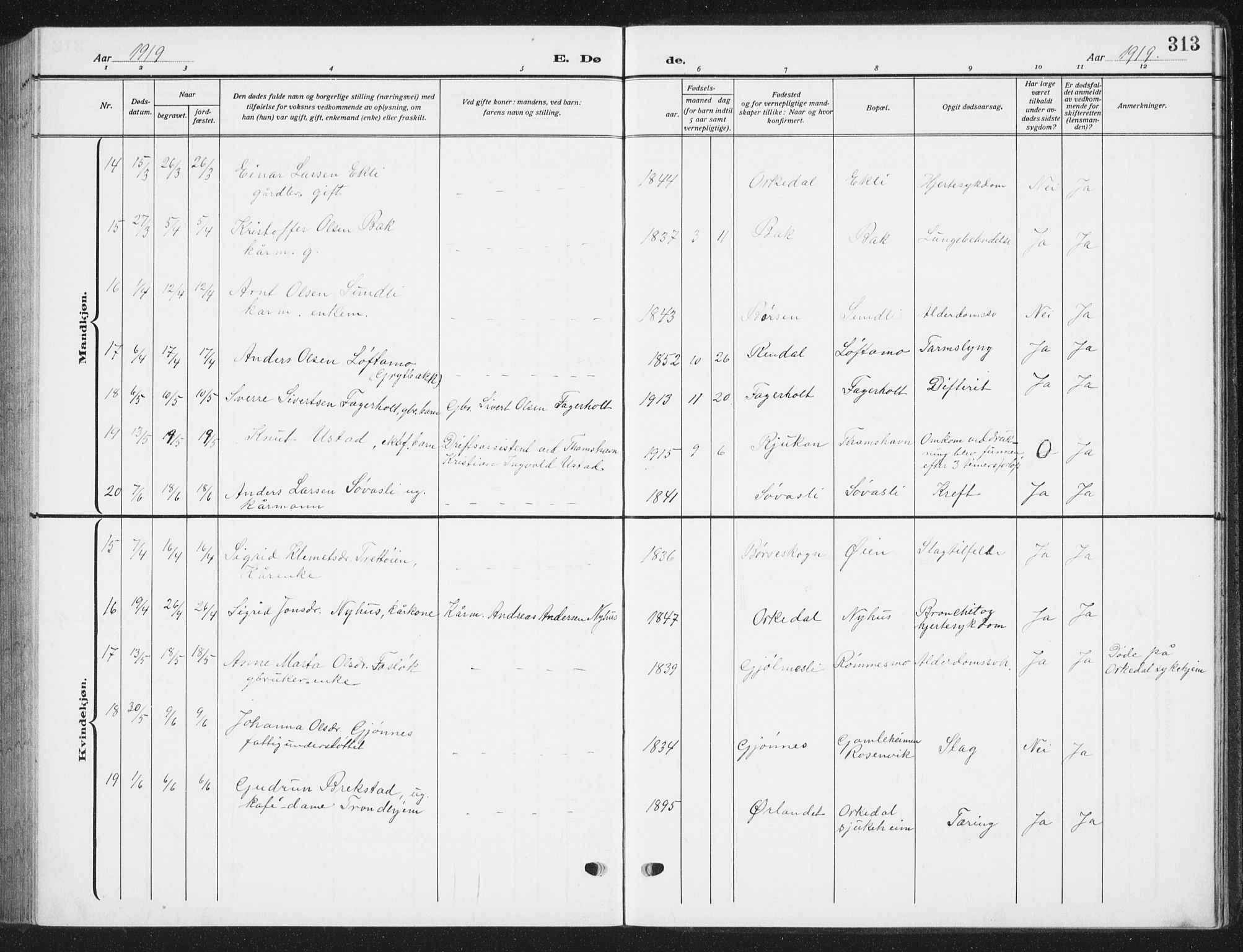 Ministerialprotokoller, klokkerbøker og fødselsregistre - Sør-Trøndelag, AV/SAT-A-1456/668/L0820: Parish register (copy) no. 668C09, 1912-1936, p. 313