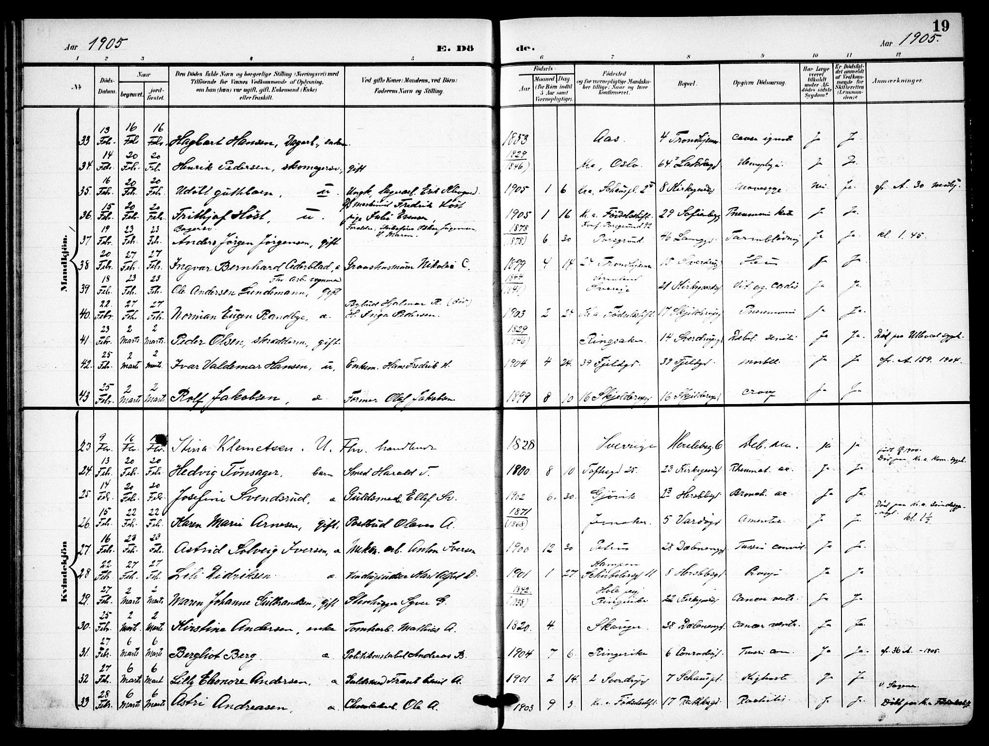 Petrus prestekontor Kirkebøker, AV/SAO-A-10872/F/Fa/L0010: Parish register (official) no. 10, 1904-1916, p. 19