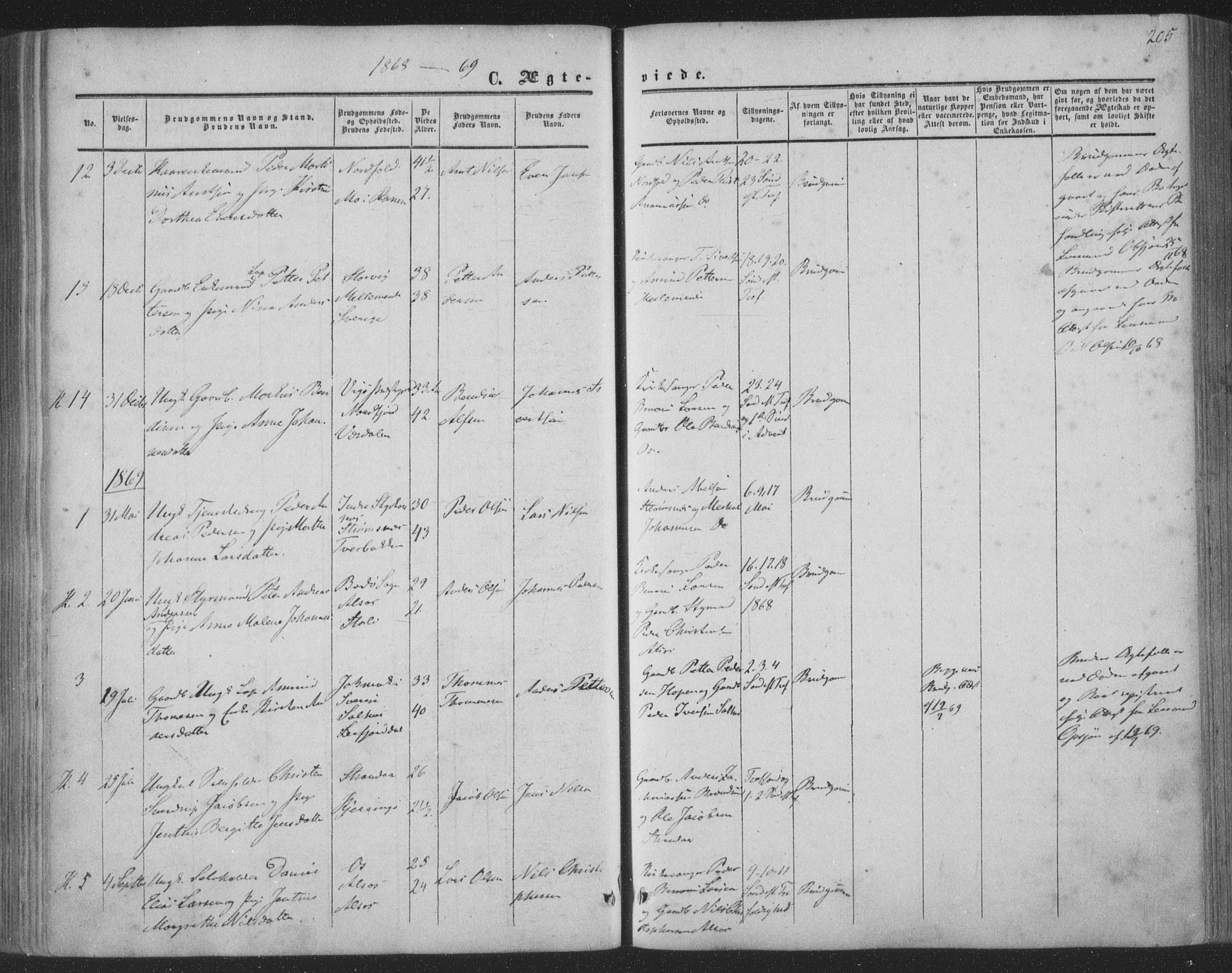 Ministerialprotokoller, klokkerbøker og fødselsregistre - Nordland, AV/SAT-A-1459/853/L0770: Parish register (official) no. 853A09, 1857-1870, p. 205