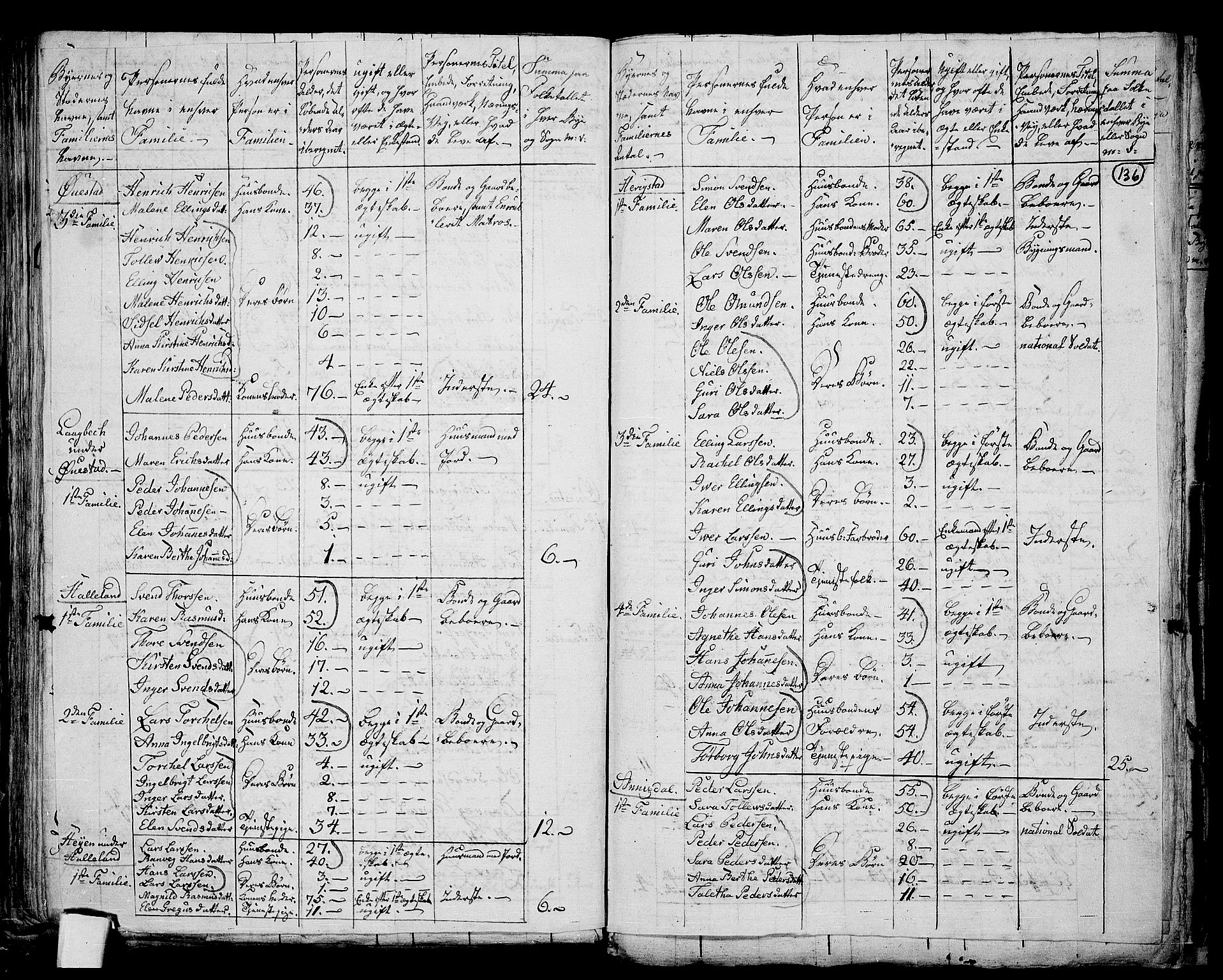 RA, 1801 census for 1119P Hå, 1801, p. 135b-136a