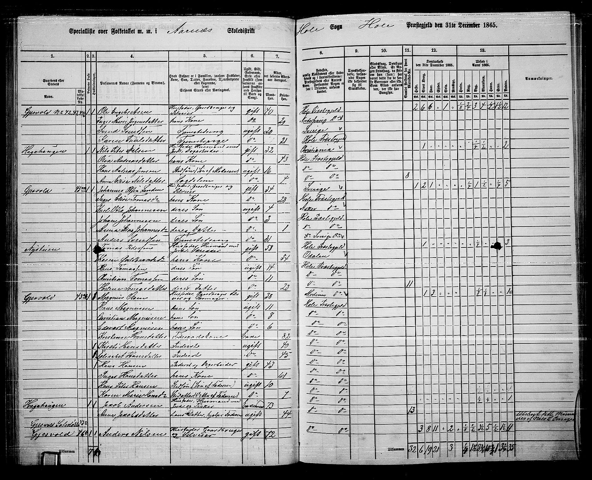 RA, 1865 census for Hole, 1865, p. 41