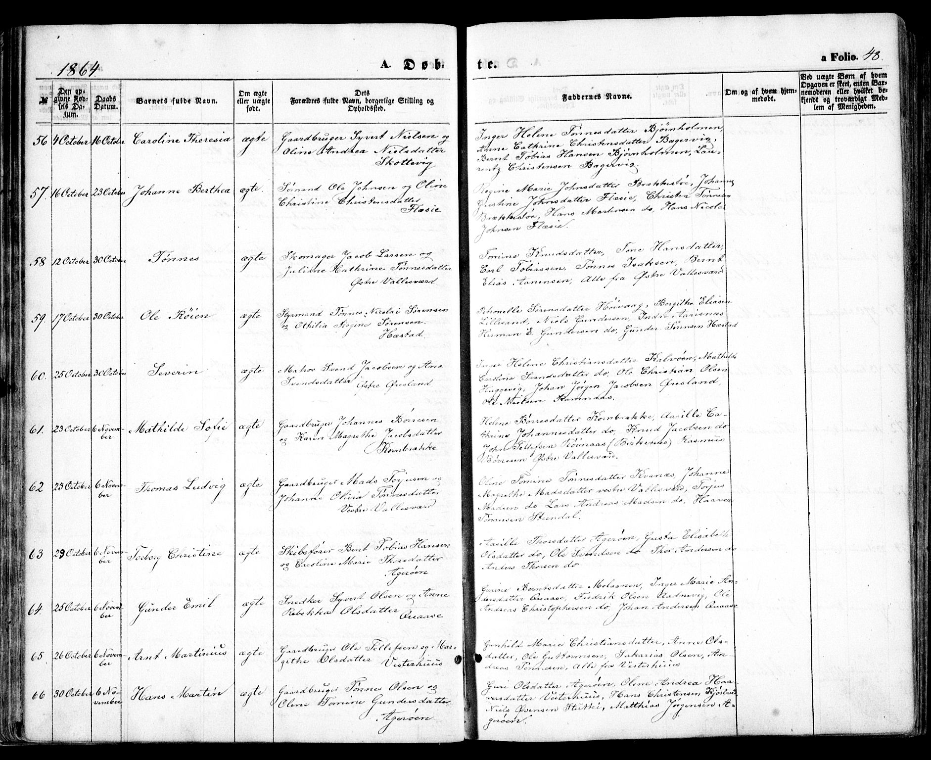 Høvåg sokneprestkontor, SAK/1111-0025/F/Fa/L0004: Parish register (official) no. A 4, 1859-1877, p. 48