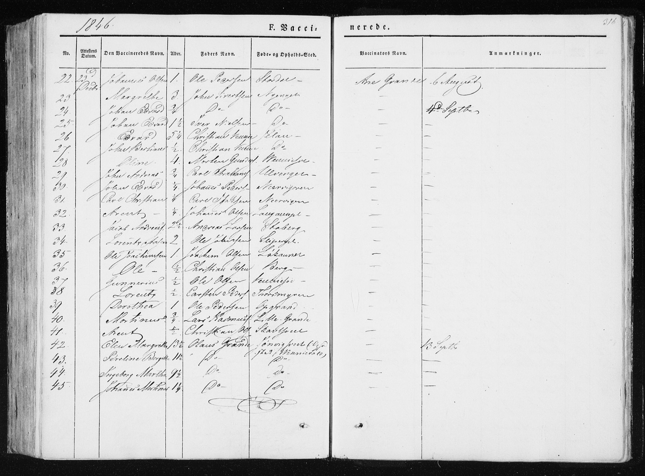 Ministerialprotokoller, klokkerbøker og fødselsregistre - Nord-Trøndelag, SAT/A-1458/733/L0323: Parish register (official) no. 733A02, 1843-1870, p. 316
