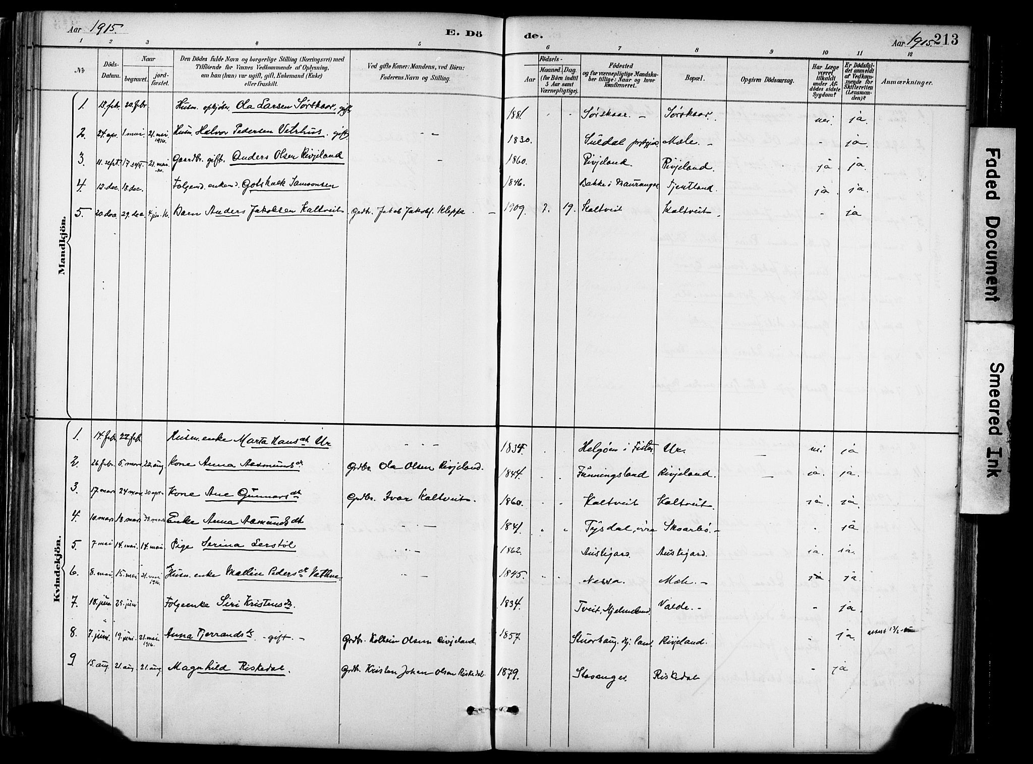 Hjelmeland sokneprestkontor, AV/SAST-A-101843/02/A/L0001: Parish register (official) no. A 16, 1887-1926, p. 213