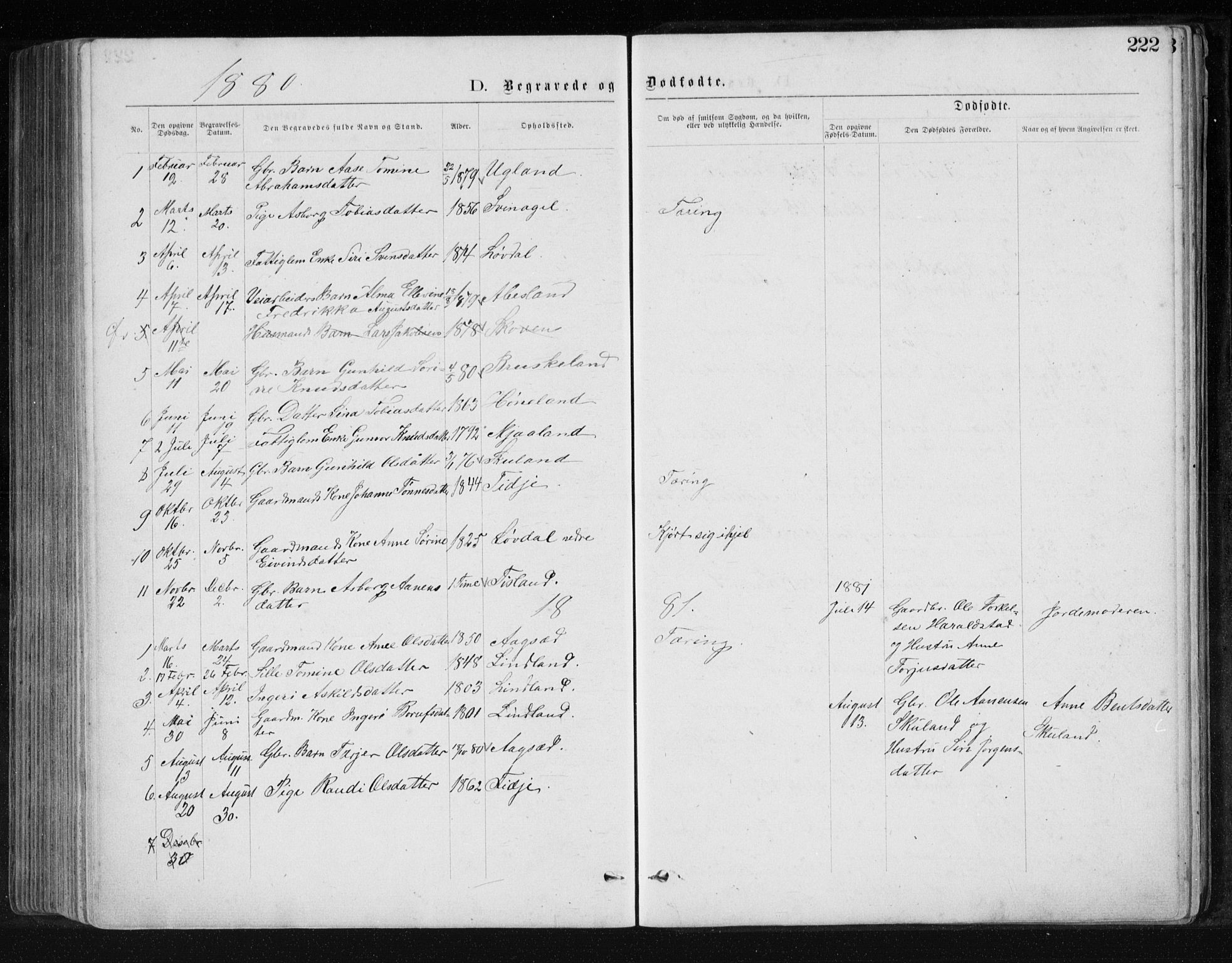 Holum sokneprestkontor, SAK/1111-0022/F/Fb/Fbb/L0003: Parish register (copy) no. B 3, 1875-1898, p. 222