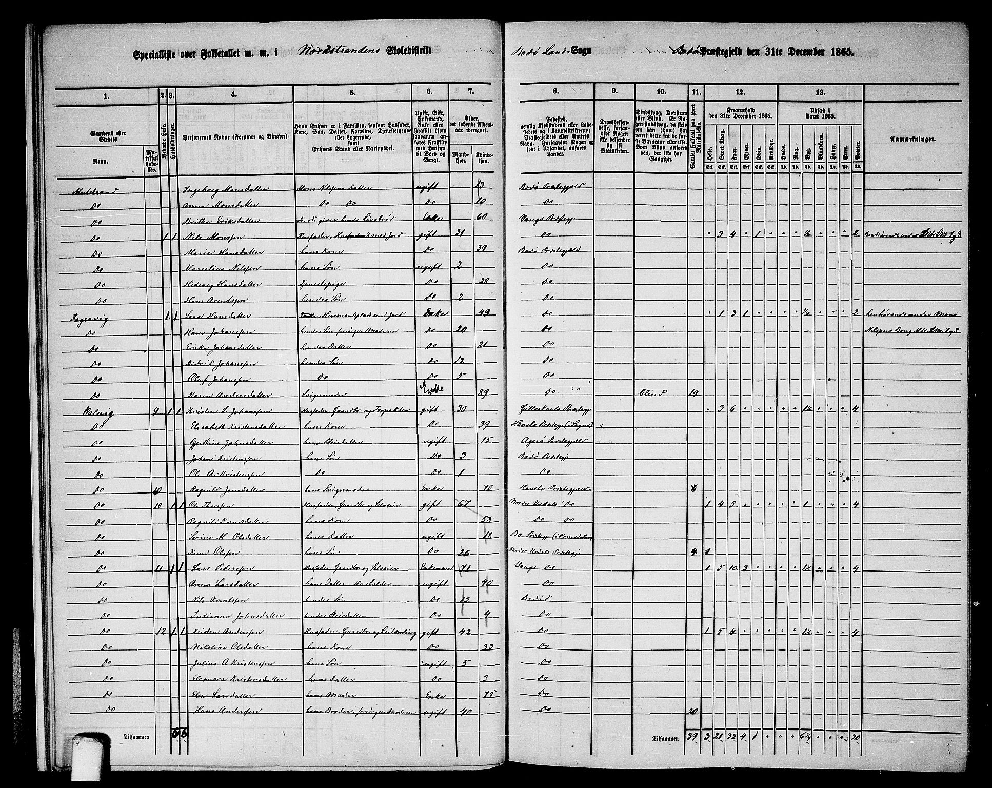 RA, 1865 census for Bodø/Bodø, 1865, p. 13