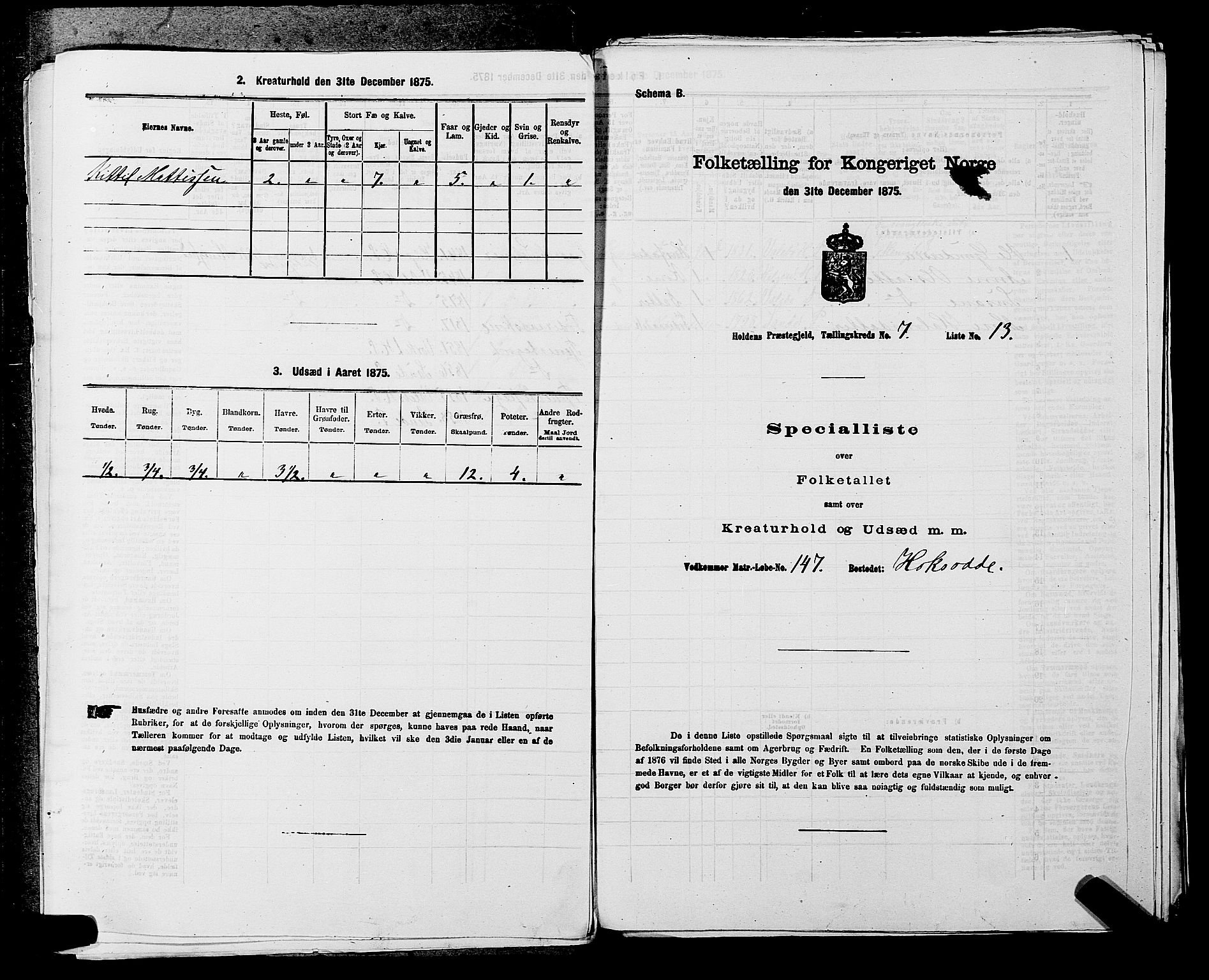 SAKO, 1875 census for 0819P Holla, 1875, p. 875