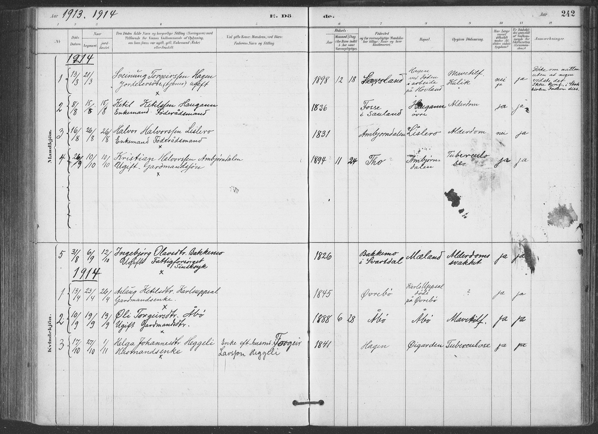 Hjartdal kirkebøker, SAKO/A-270/F/Fa/L0010: Parish register (official) no. I 10, 1880-1929, p. 242