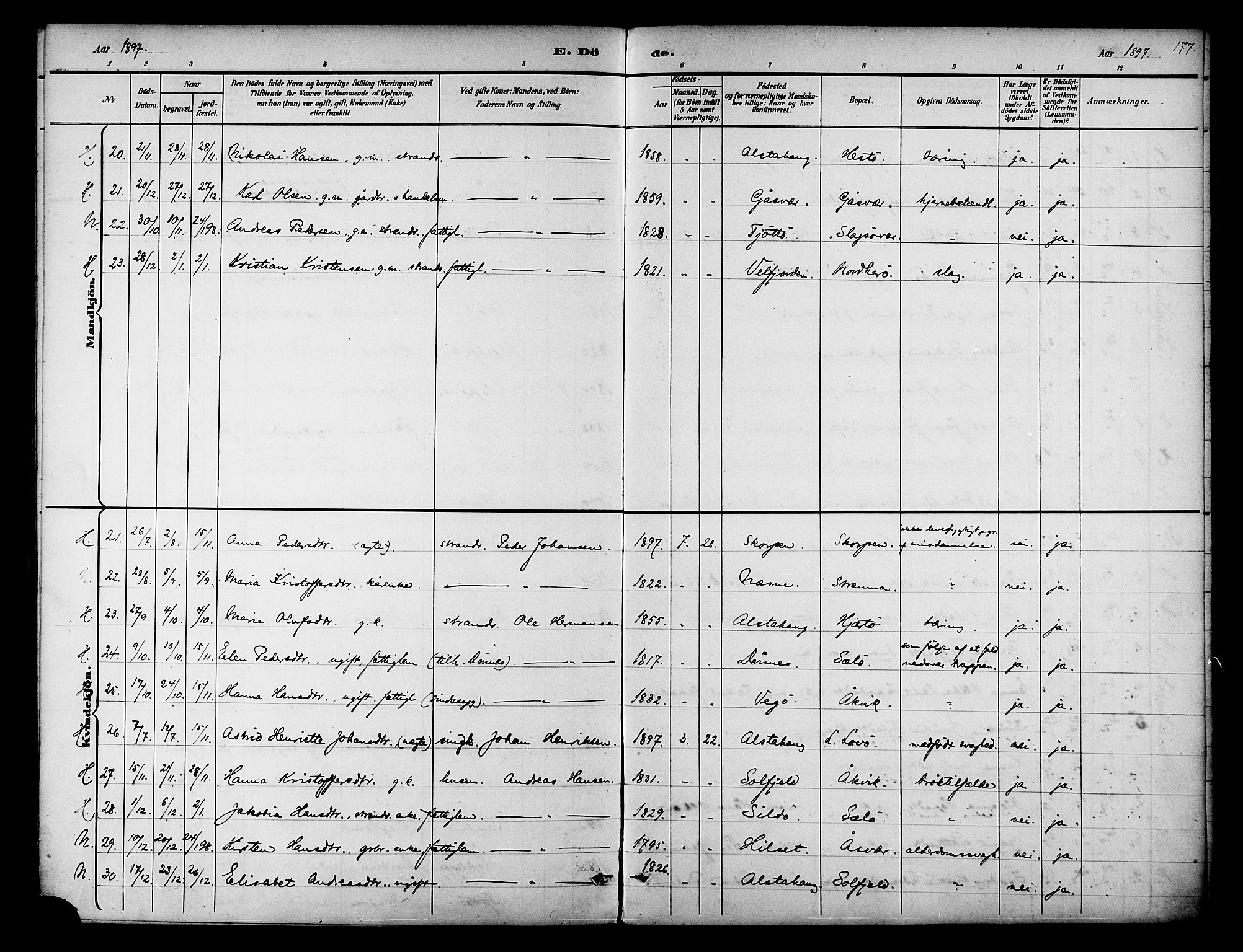 Ministerialprotokoller, klokkerbøker og fødselsregistre - Nordland, AV/SAT-A-1459/834/L0508: Parish register (official) no. 834A06, 1892-1901, p. 177