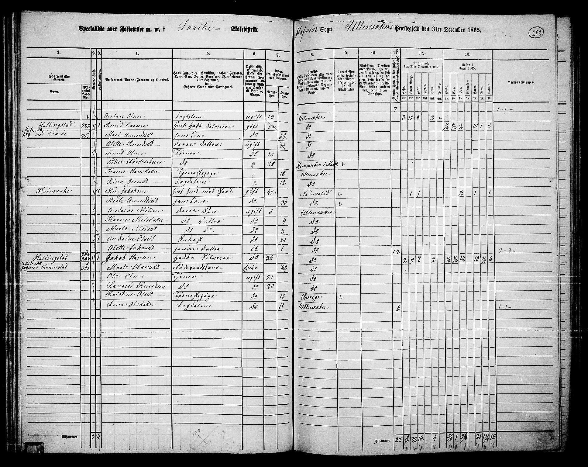 RA, 1865 census for Ullensaker, 1865, p. 249