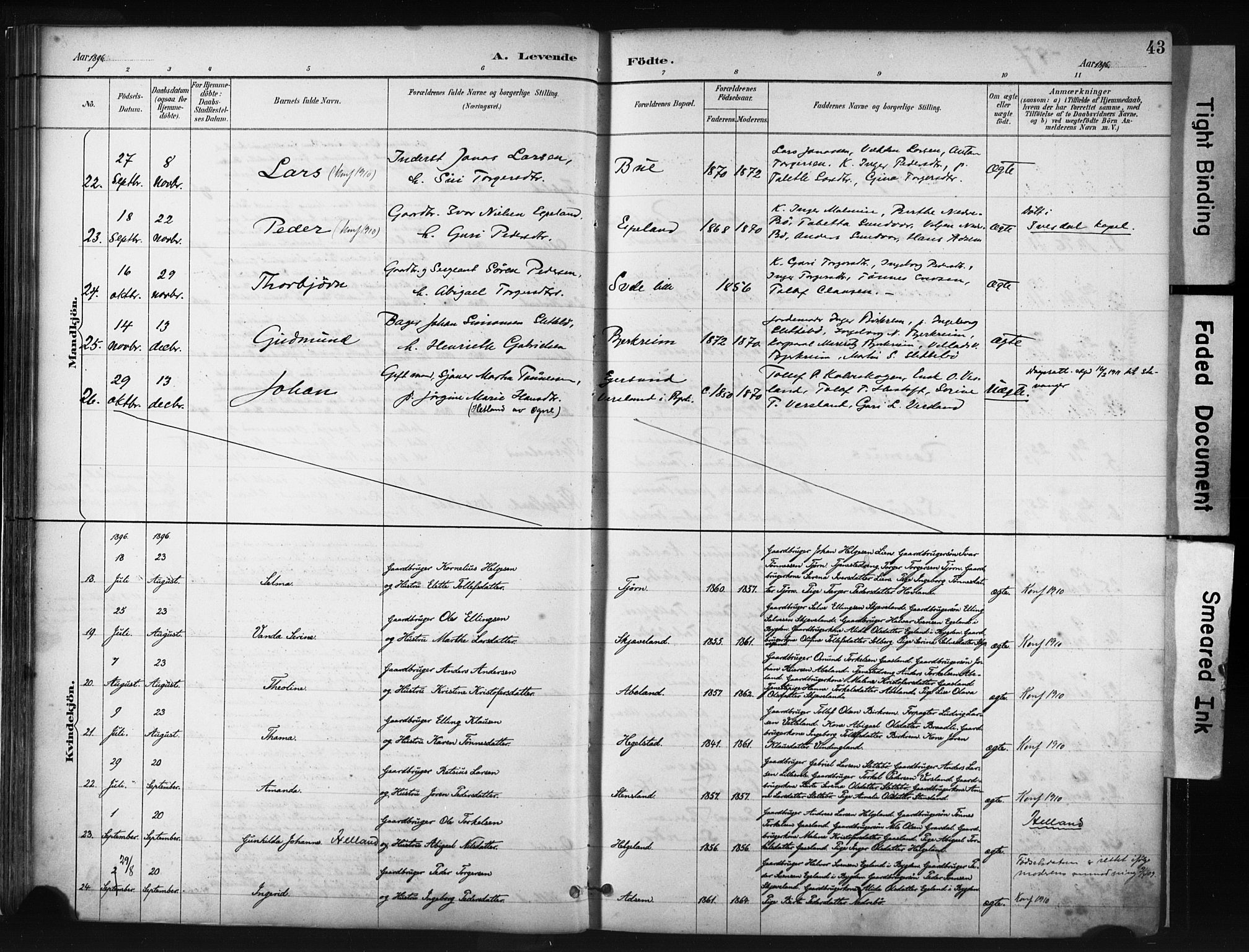 Helleland sokneprestkontor, AV/SAST-A-101810: Parish register (official) no. A 9, 1887-1908, p. 43