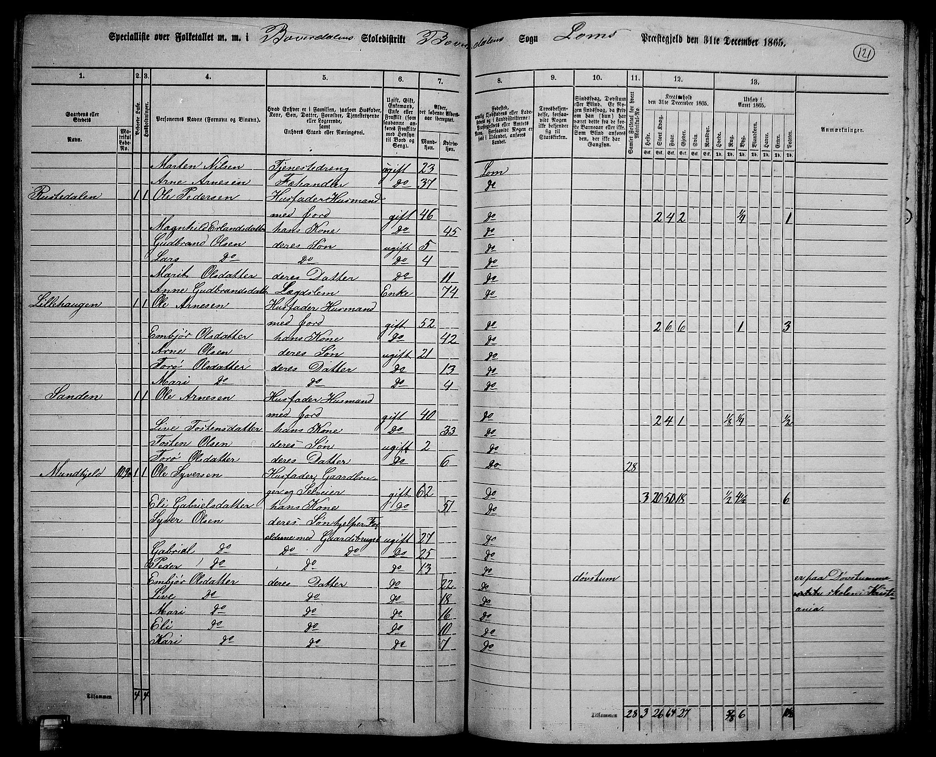 RA, 1865 census for Lom, 1865, p. 113