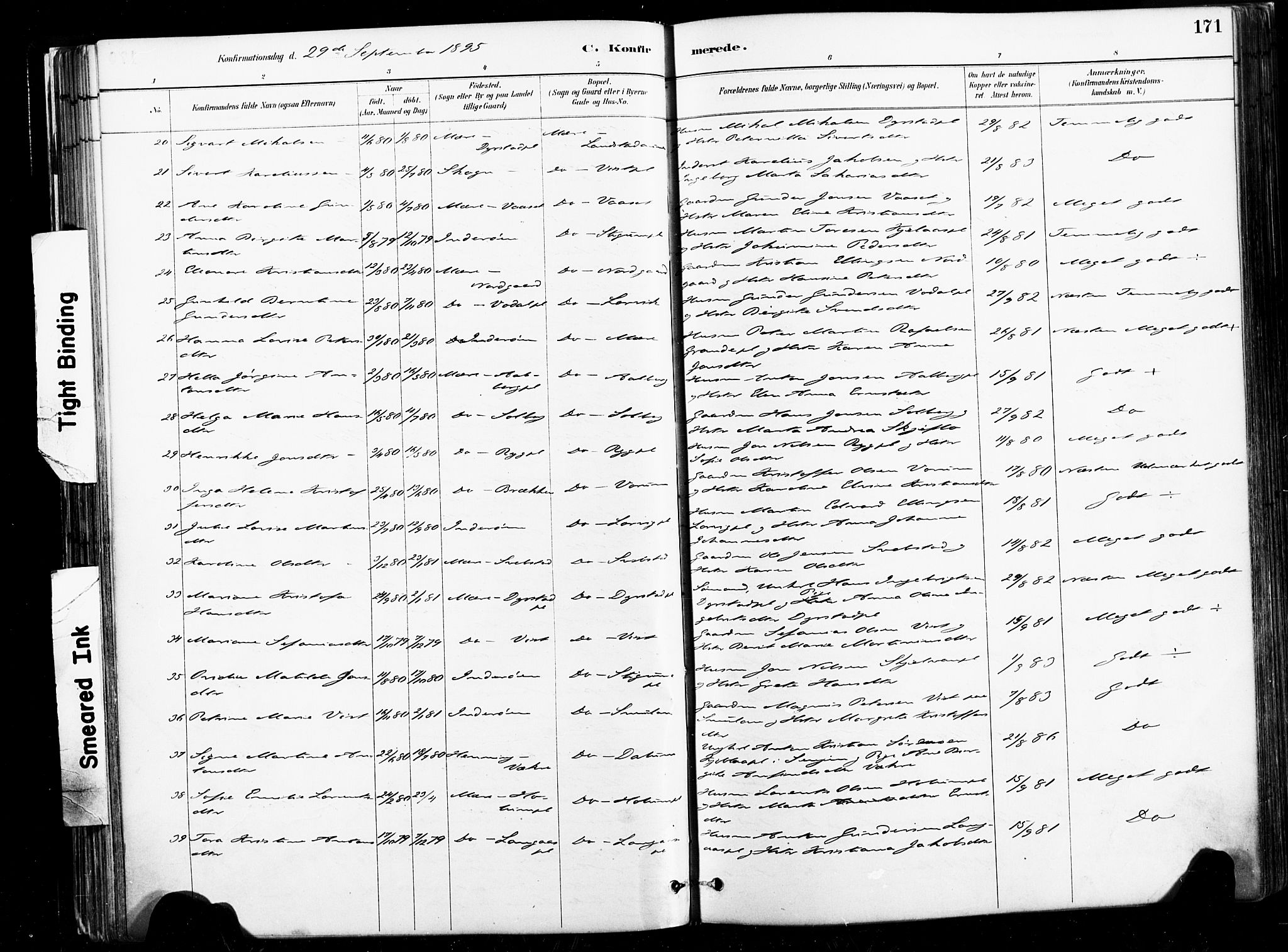 Ministerialprotokoller, klokkerbøker og fødselsregistre - Nord-Trøndelag, SAT/A-1458/735/L0351: Parish register (official) no. 735A10, 1884-1908, p. 171
