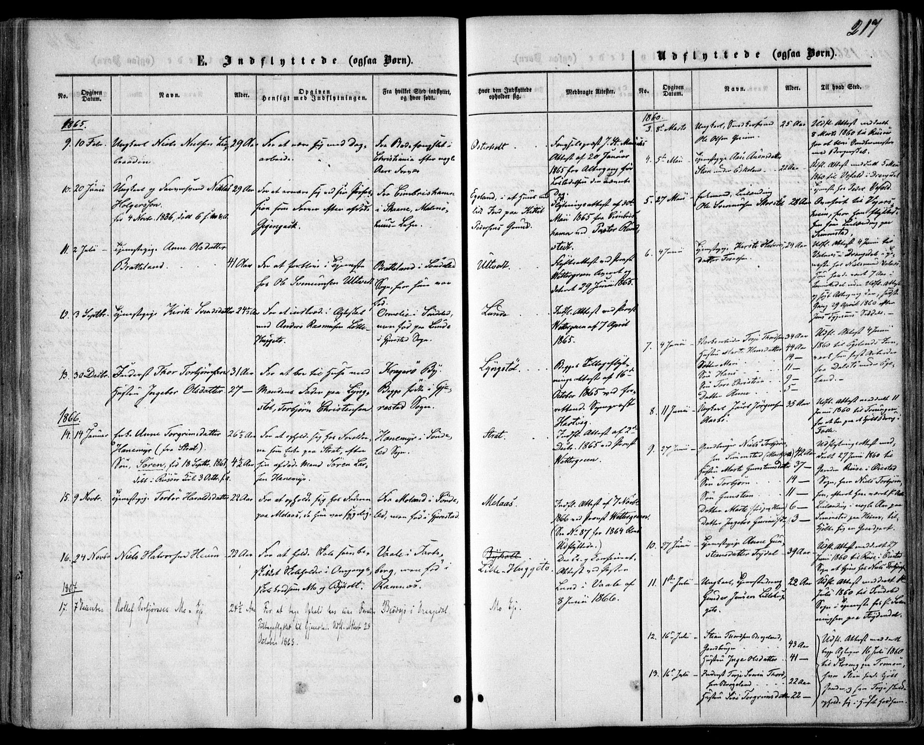 Gjerstad sokneprestkontor, SAK/1111-0014/F/Fa/Faa/L0007: Parish register (official) no. A 7, 1858-1875, p. 217