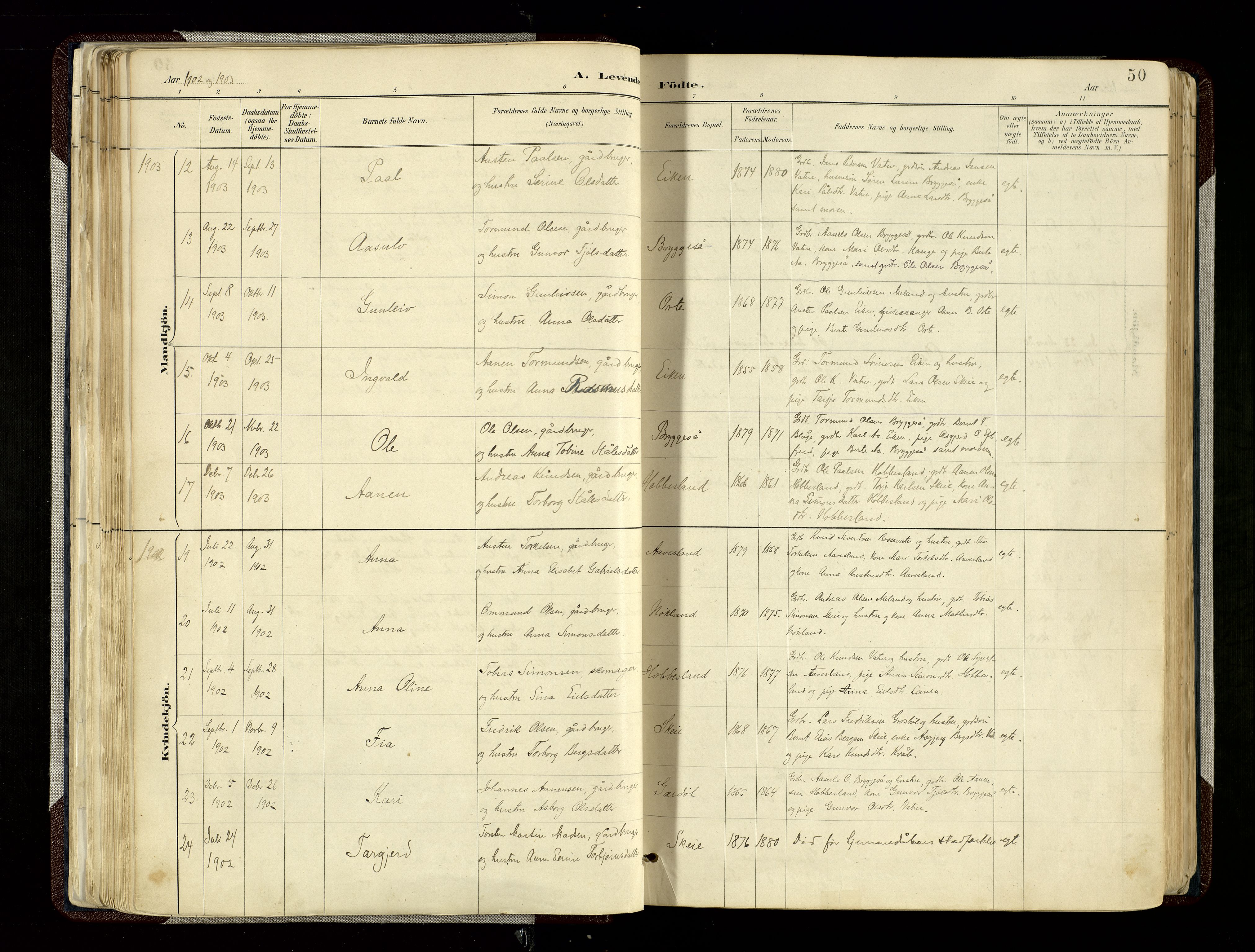 Hægebostad sokneprestkontor, SAK/1111-0024/F/Fa/Fab/L0004: Parish register (official) no. A 4, 1887-1929, p. 50
