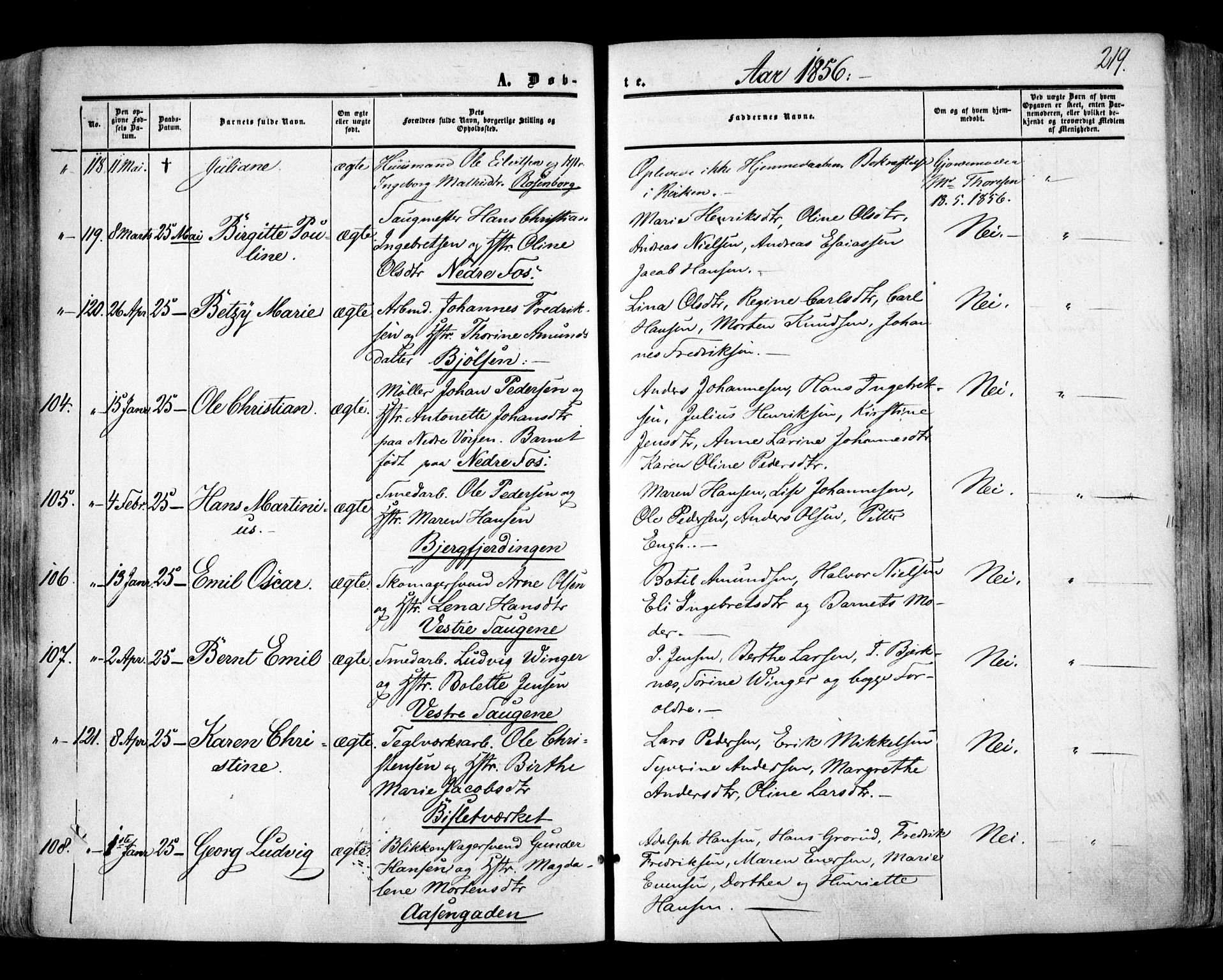 Aker prestekontor kirkebøker, SAO/A-10861/F/L0020: Parish register (official) no. 20, 1853-1857, p. 219