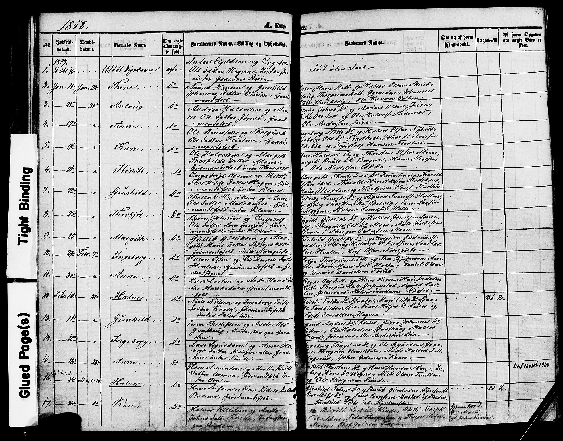 Sauherad kirkebøker, SAKO/A-298/F/Fa/L0007: Parish register (official) no. I 7, 1851-1873, p. 43