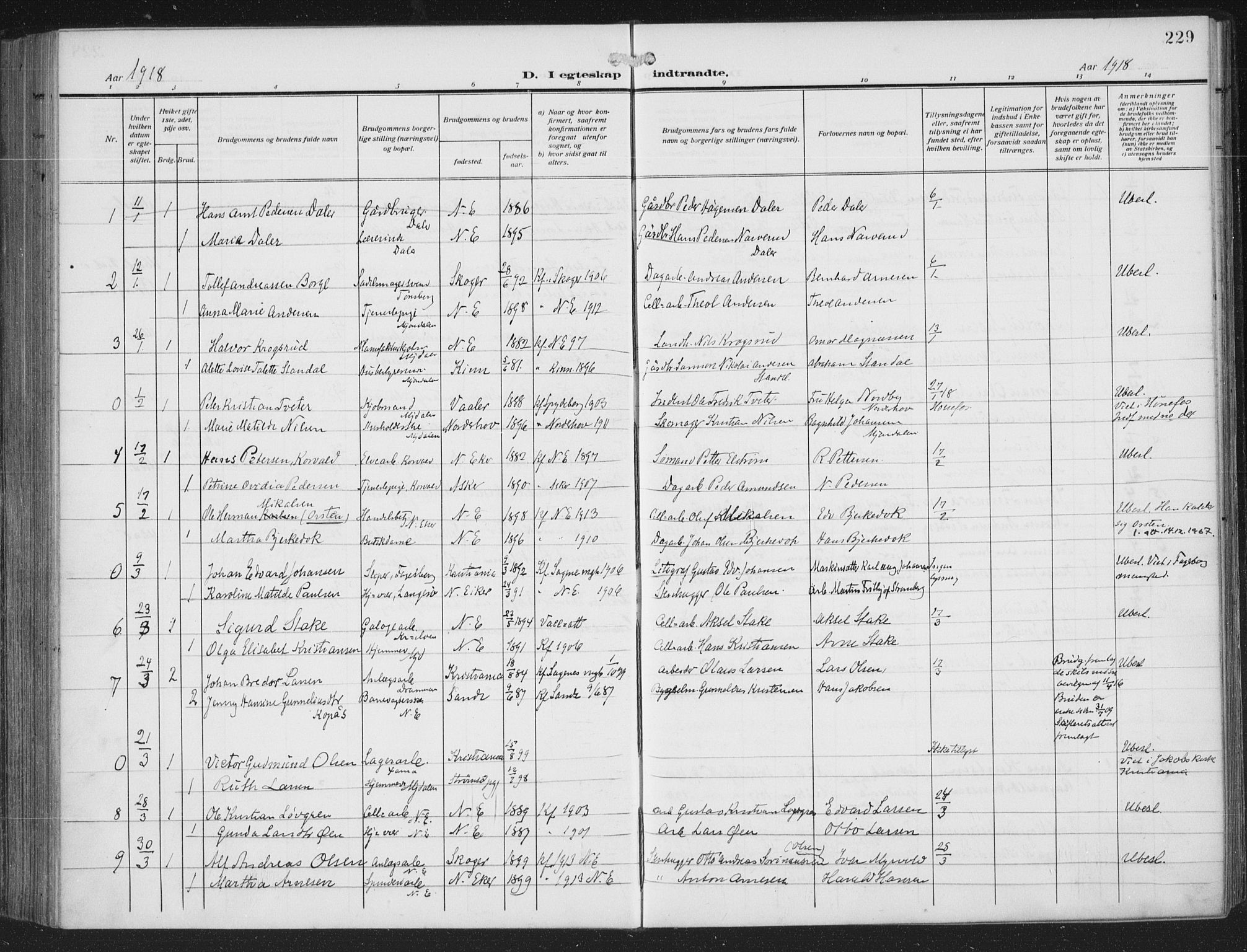 Nedre Eiker kirkebøker, AV/SAKO-A-612/F/Fa/L0007: Parish register (official) no. 7, 1912-1918, p. 229