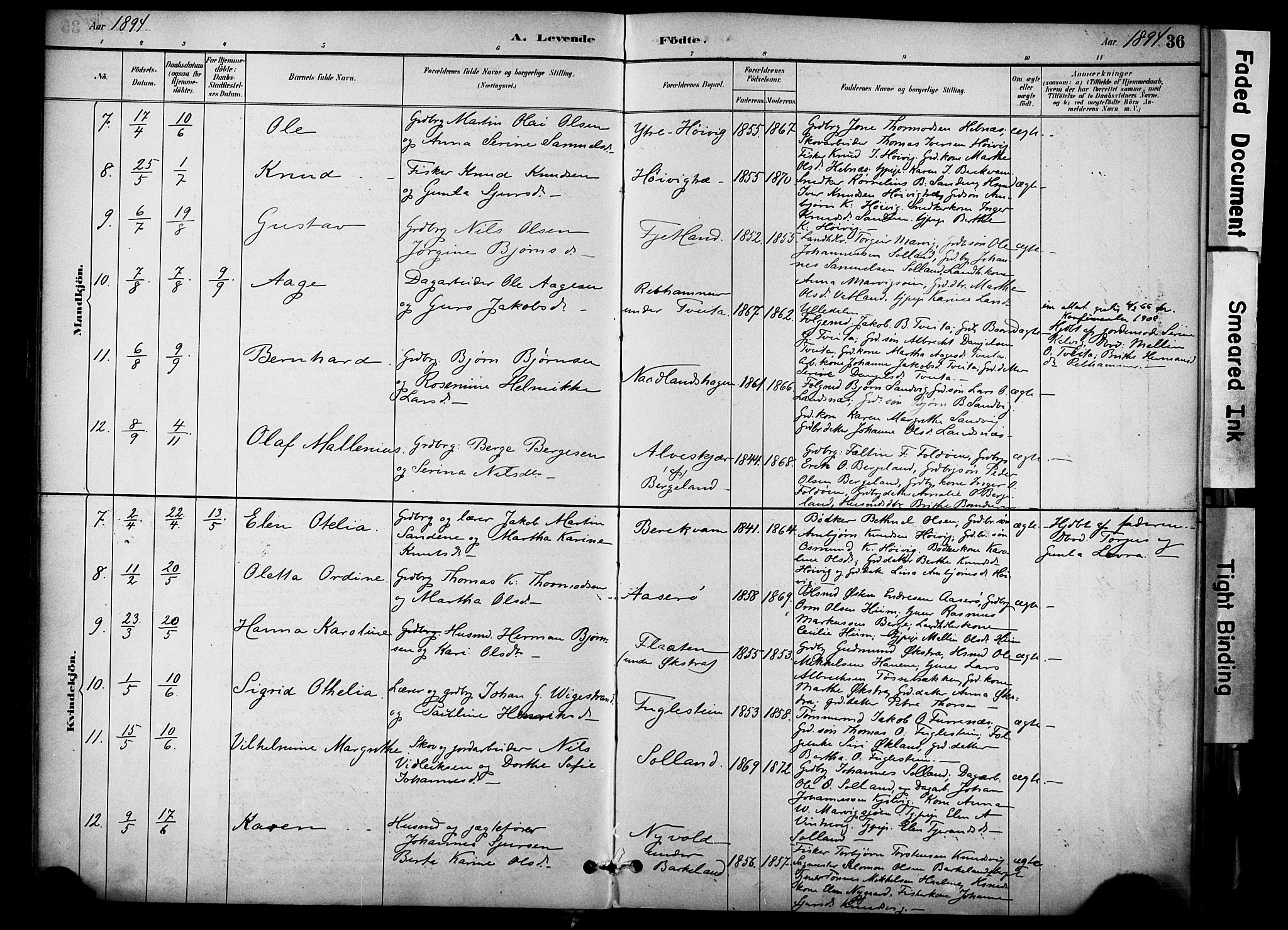 Jelsa sokneprestkontor, AV/SAST-A-101842/01/IV: Parish register (official) no. A 10, 1884-1906, p. 36