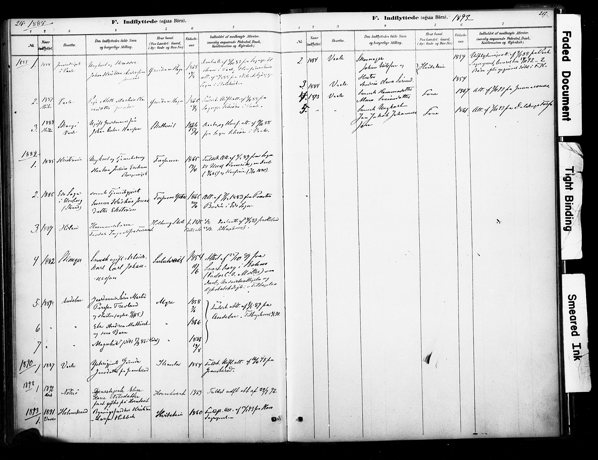 Ramnes kirkebøker, SAKO/A-314/F/Fb/L0001: Parish register (official) no. II 1, 1878-1894, p. 216-217