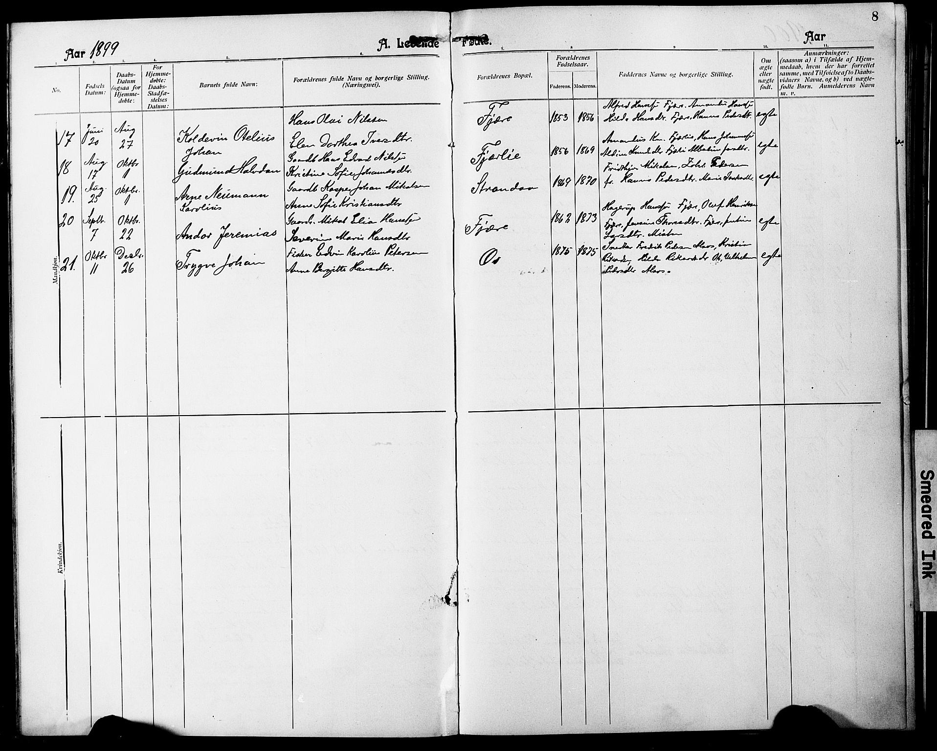 Ministerialprotokoller, klokkerbøker og fødselsregistre - Nordland, AV/SAT-A-1459/803/L0077: Parish register (copy) no. 803C04, 1897-1930, p. 8