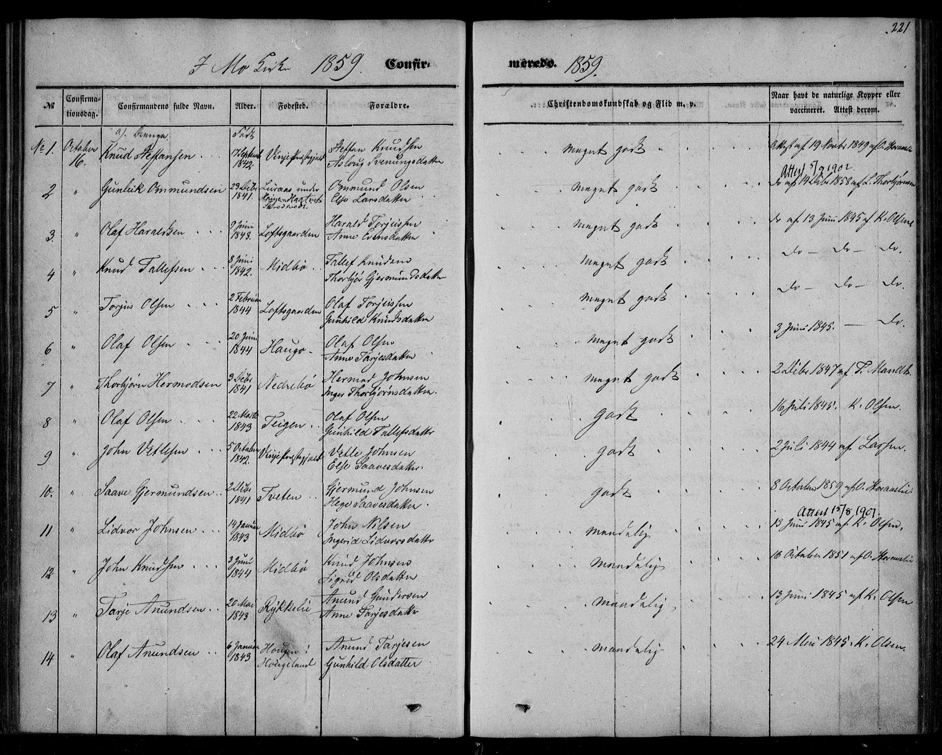Mo kirkebøker, SAKO/A-286/F/Fa/L0005: Parish register (official) no. I 5, 1844-1864, p. 221