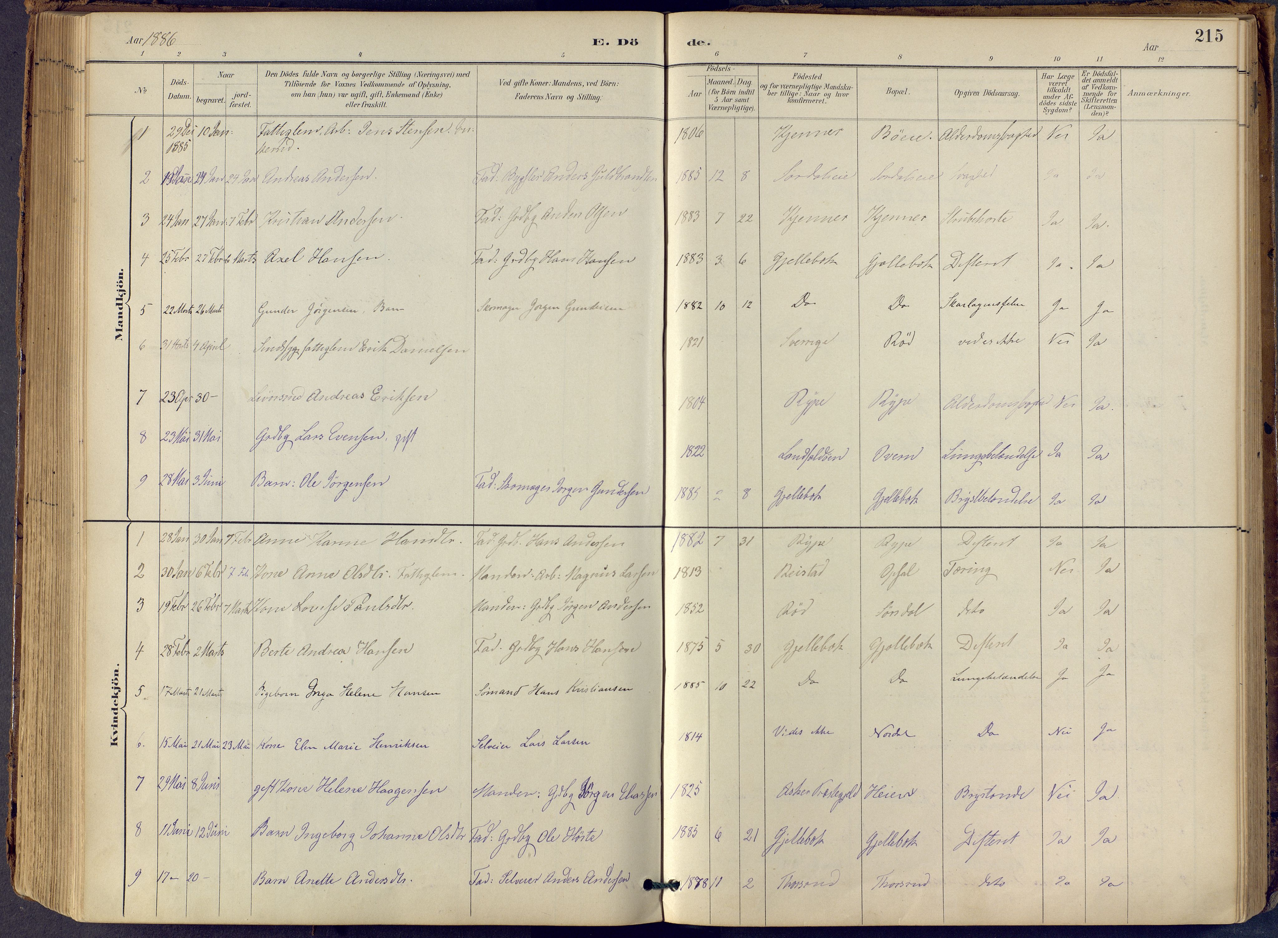 Lier kirkebøker, AV/SAKO-A-230/F/Fb/L0001: Parish register (official) no. II 1, 1883-1910, p. 215