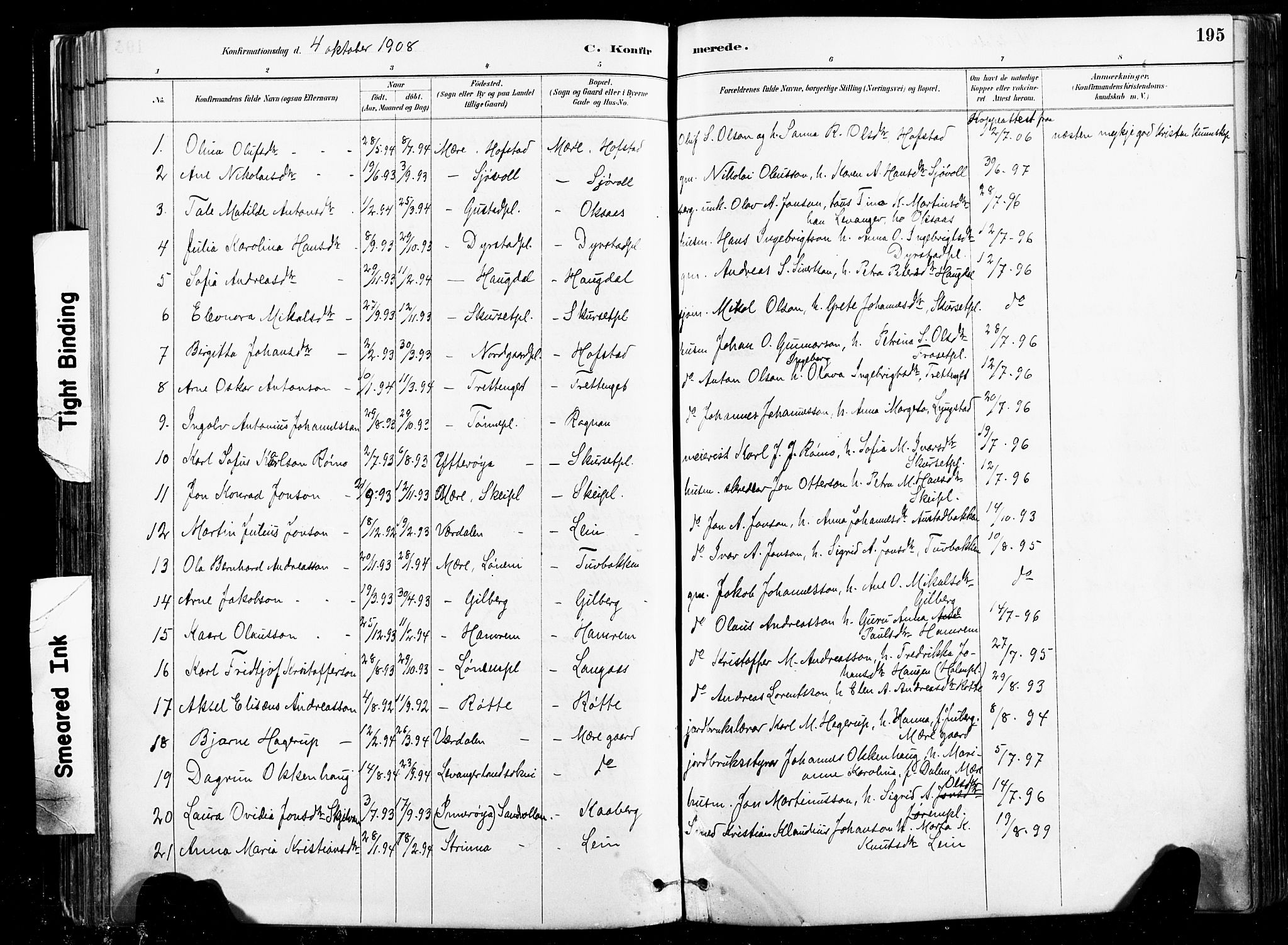 Ministerialprotokoller, klokkerbøker og fødselsregistre - Nord-Trøndelag, AV/SAT-A-1458/735/L0351: Parish register (official) no. 735A10, 1884-1908, p. 195