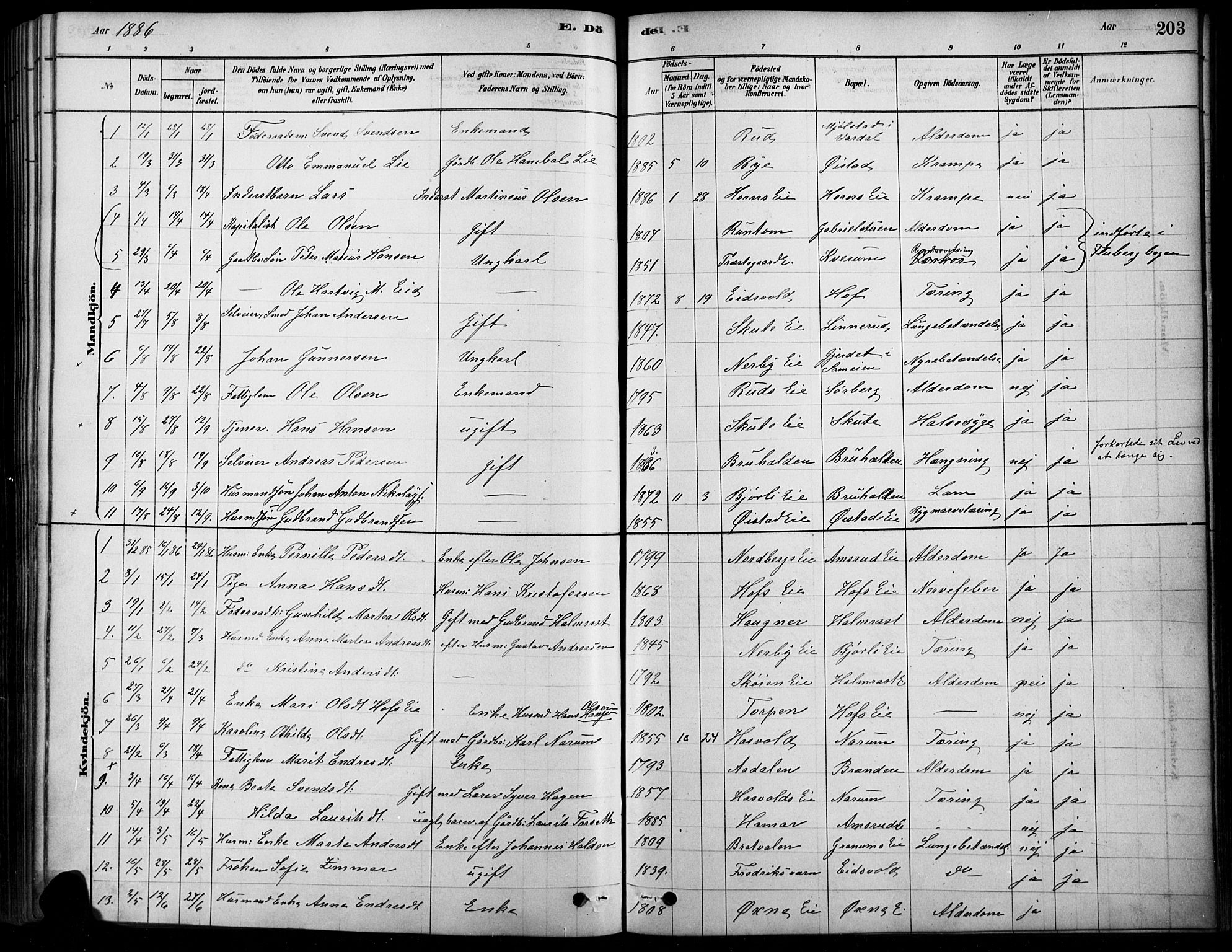 Søndre Land prestekontor, SAH/PREST-122/K/L0003: Parish register (official) no. 3, 1878-1894, p. 203
