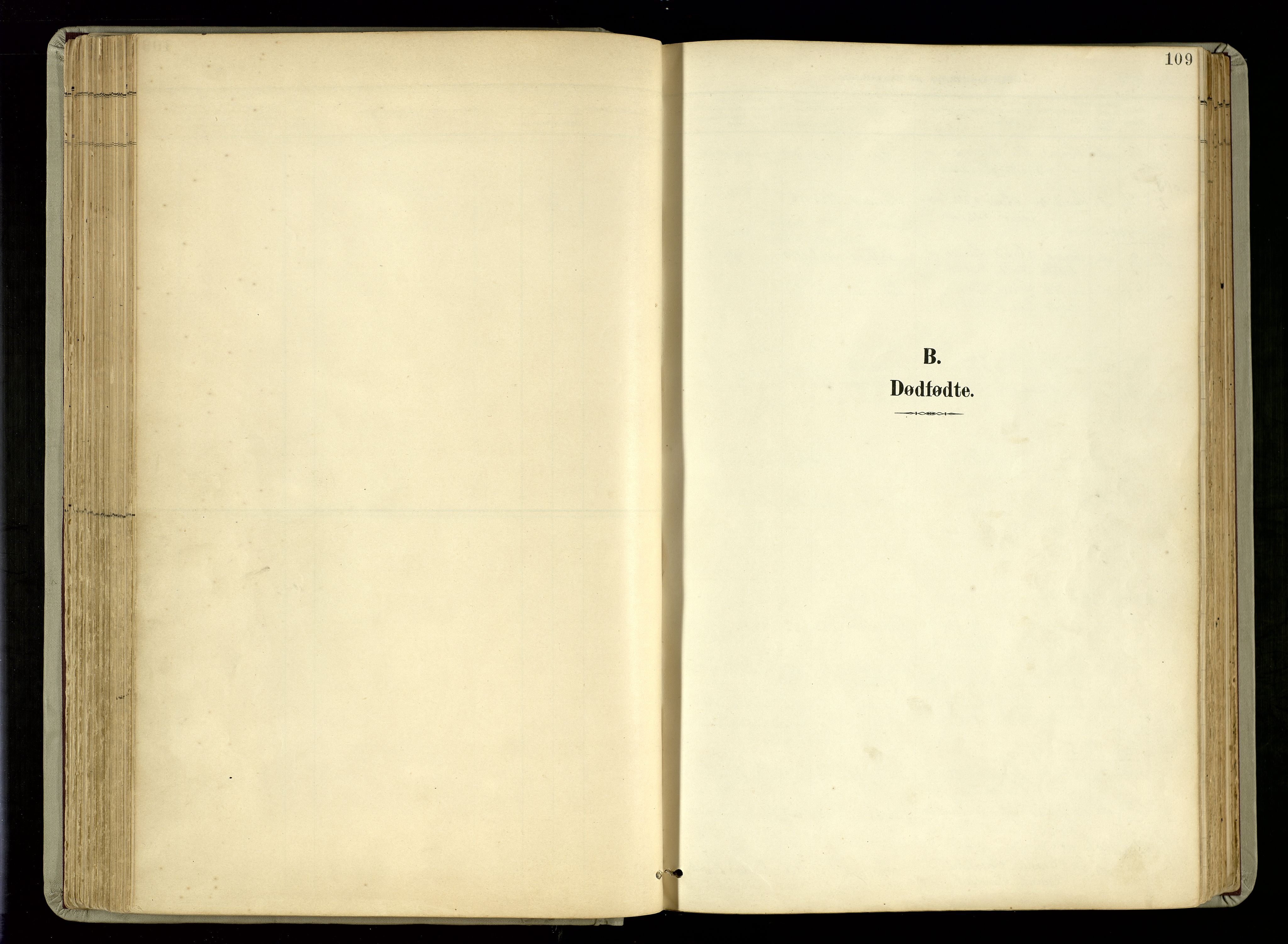 Hommedal sokneprestkontor, SAK/1111-0023/F/Fa/Fab/L0007: Parish register (official) no. A 7, 1898-1924, p. 109