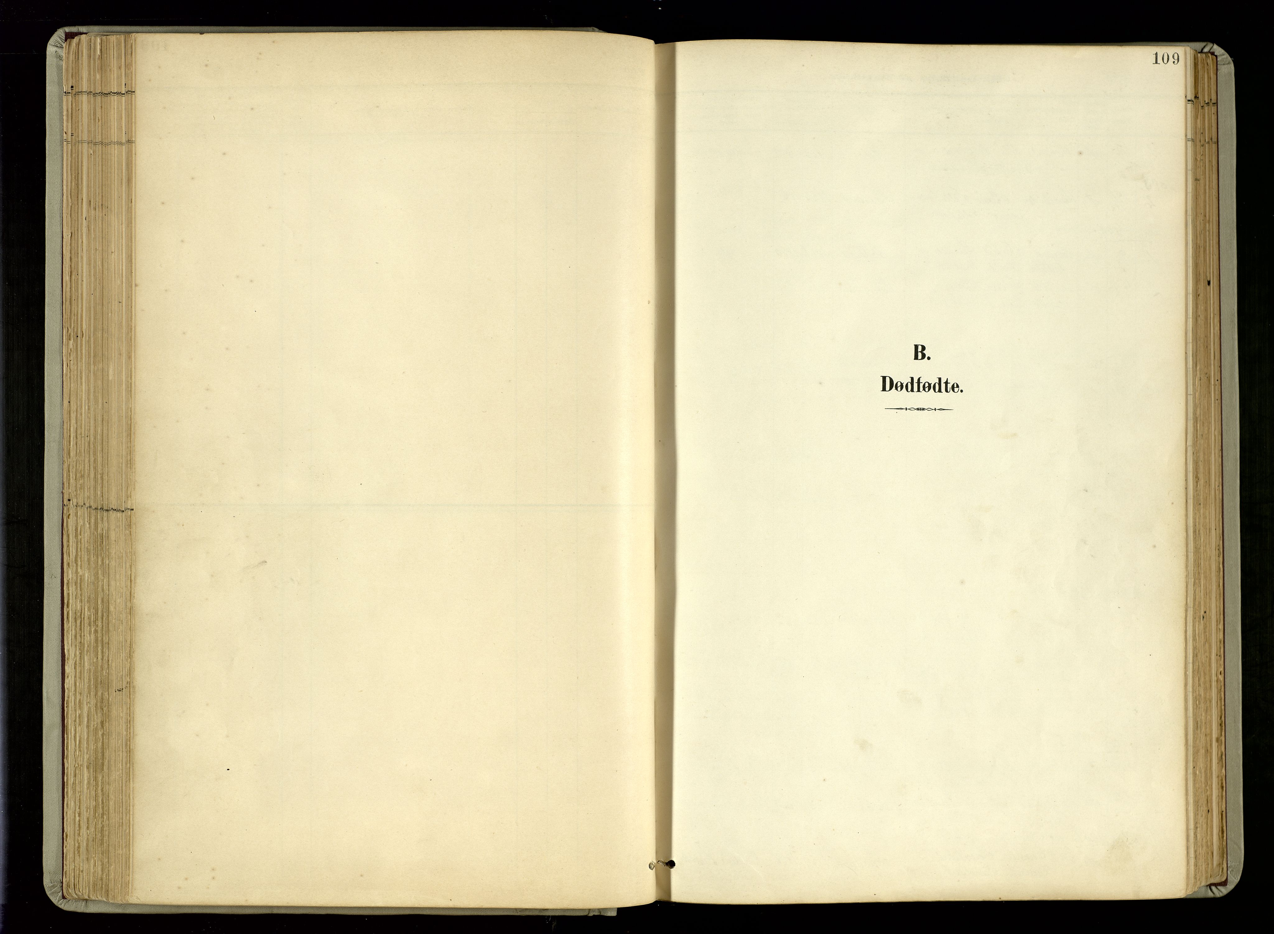 Hommedal sokneprestkontor, AV/SAK-1111-0023/F/Fa/Fab/L0007: Parish register (official) no. A 7, 1898-1924, p. 109