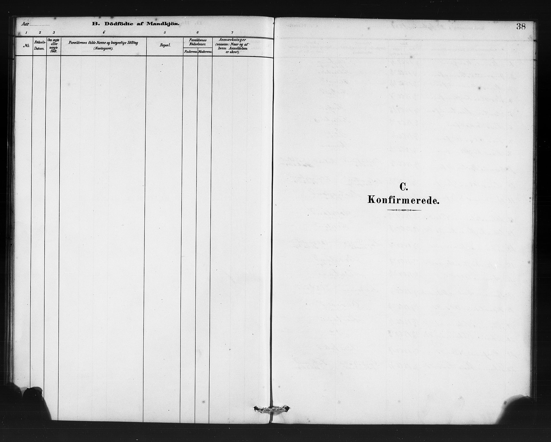 Manger sokneprestembete, AV/SAB-A-76801/H/Haa: Parish register (official) no. D 1, 1881-1892, p. 38