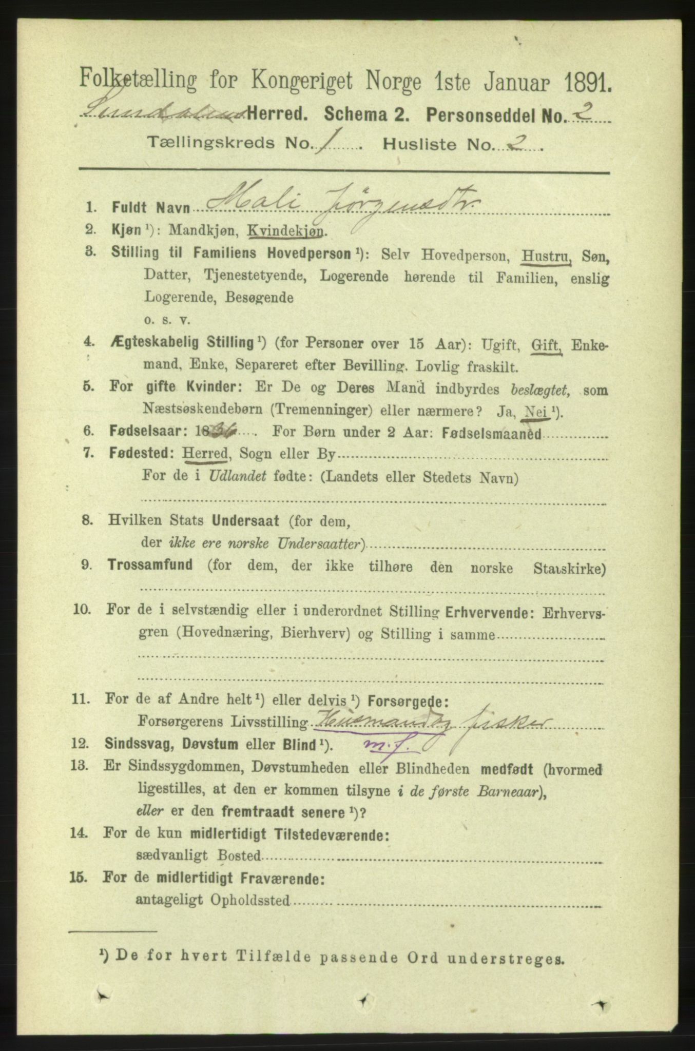 RA, 1891 census for 1563 Sunndal, 1891, p. 58