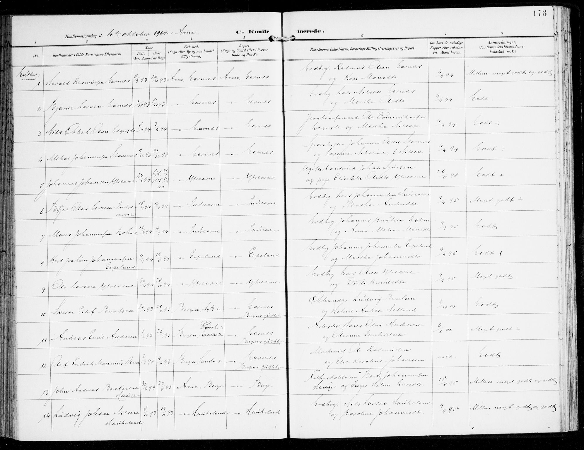 Haus sokneprestembete, SAB/A-75601/H/Haa: Parish register (official) no. D 2, 1899-1912, p. 173