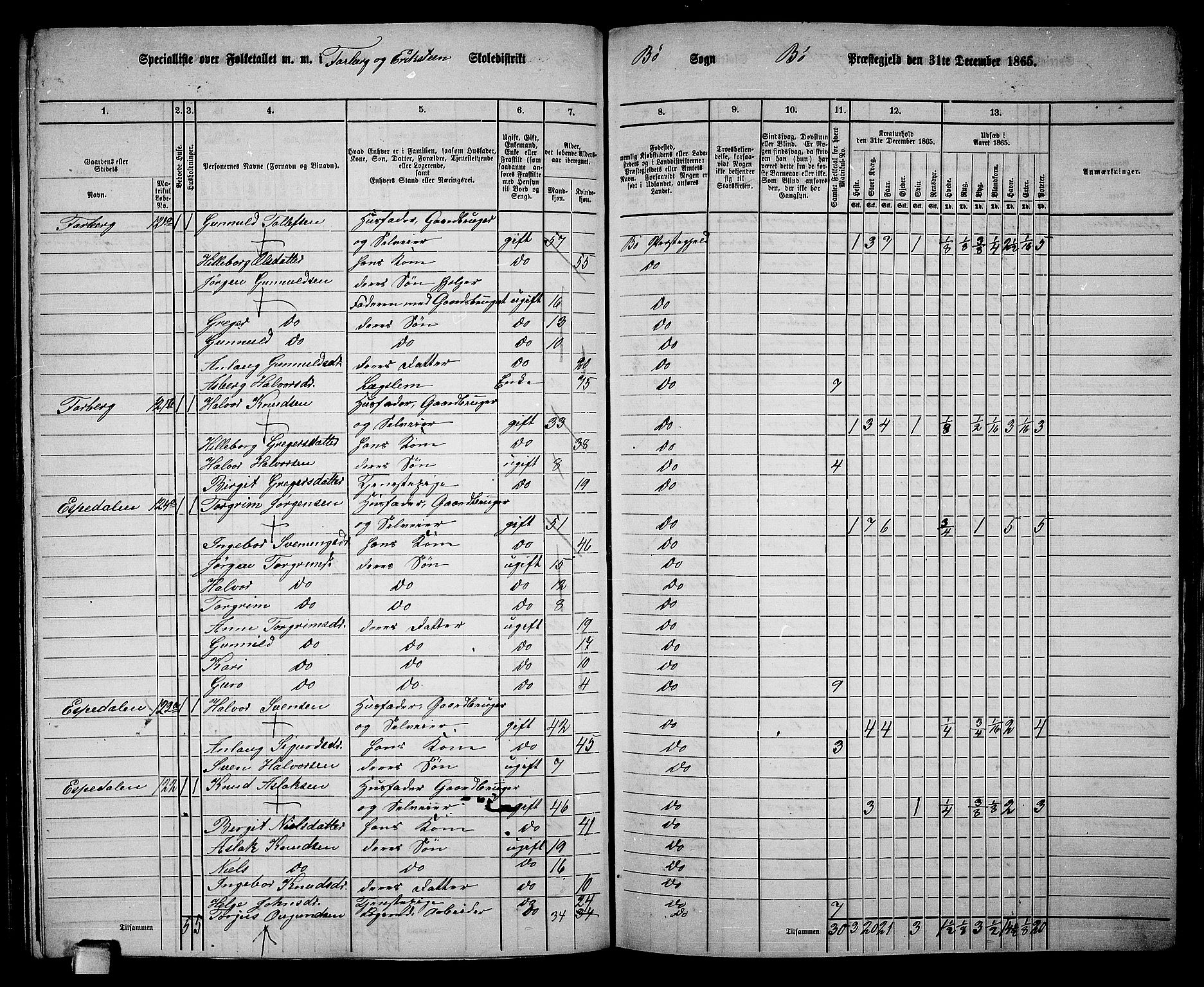 RA, 1865 census for Bø, 1865, p. 143