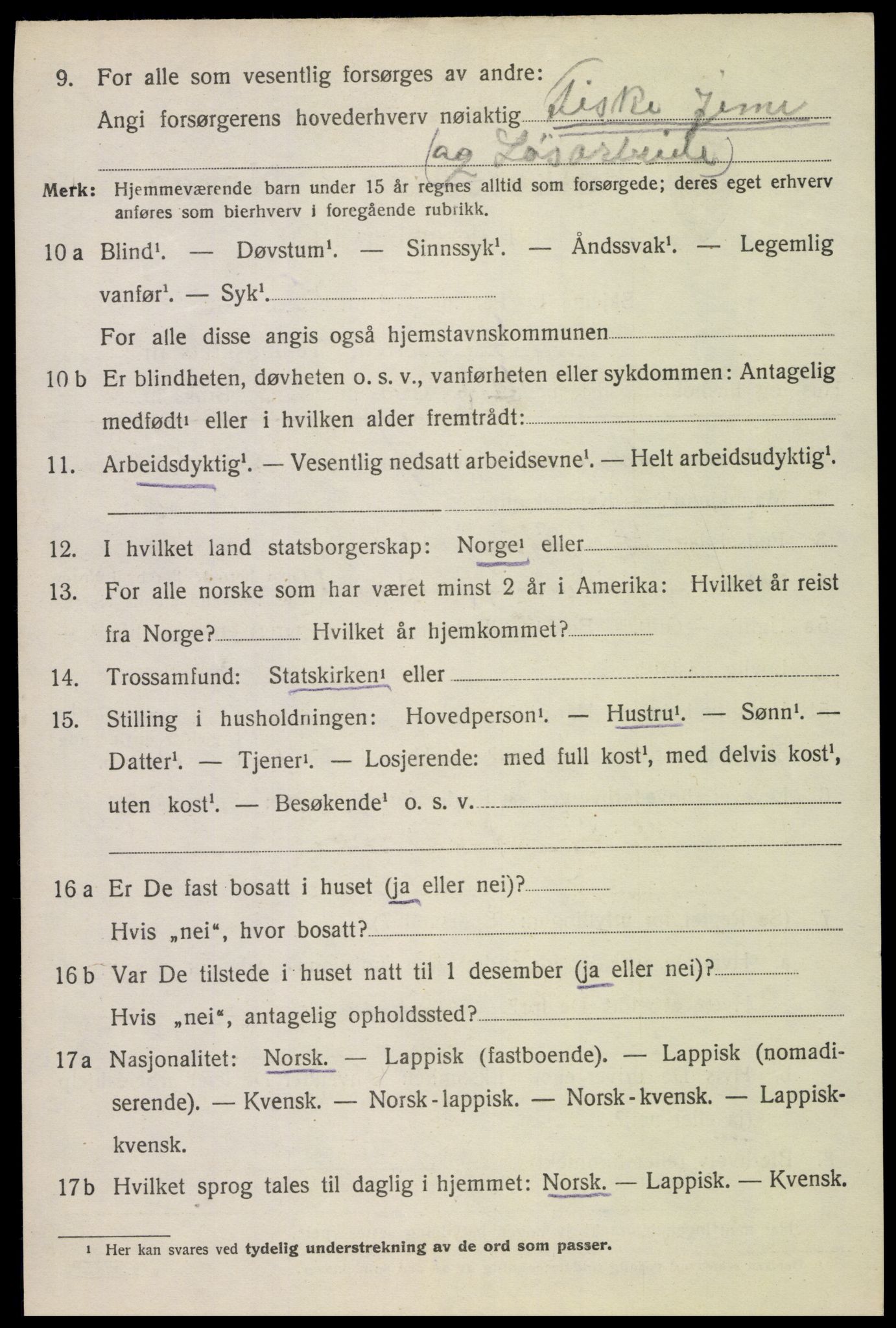 SAT, 1920 census for Hadsel, 1920, p. 19919