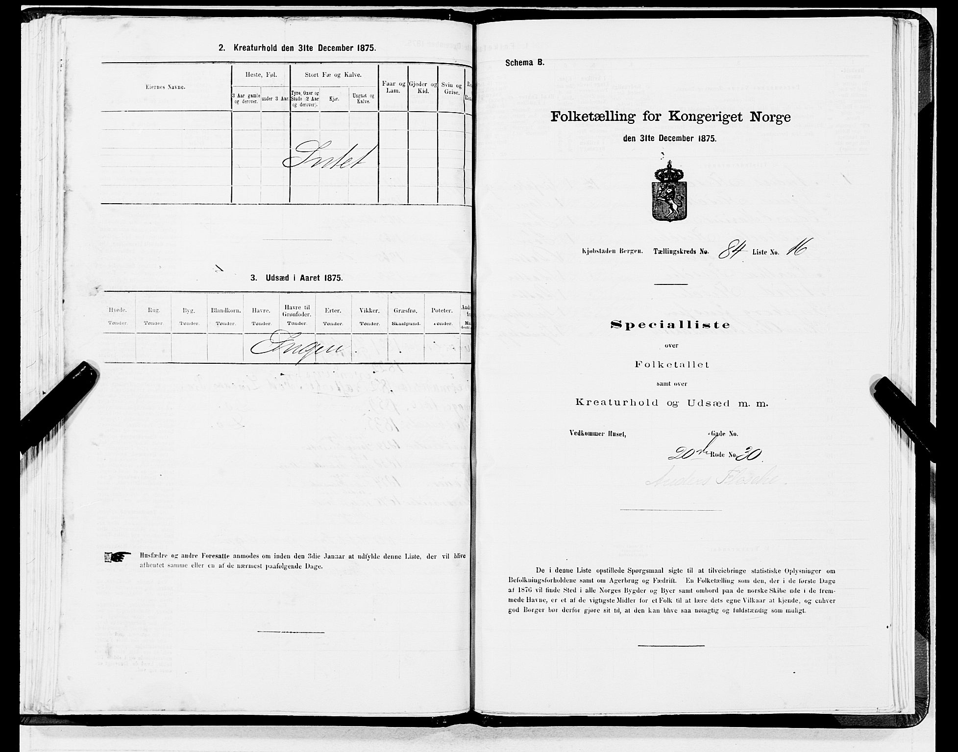 SAB, 1875 census for 1301 Bergen, 1875, p. 4533