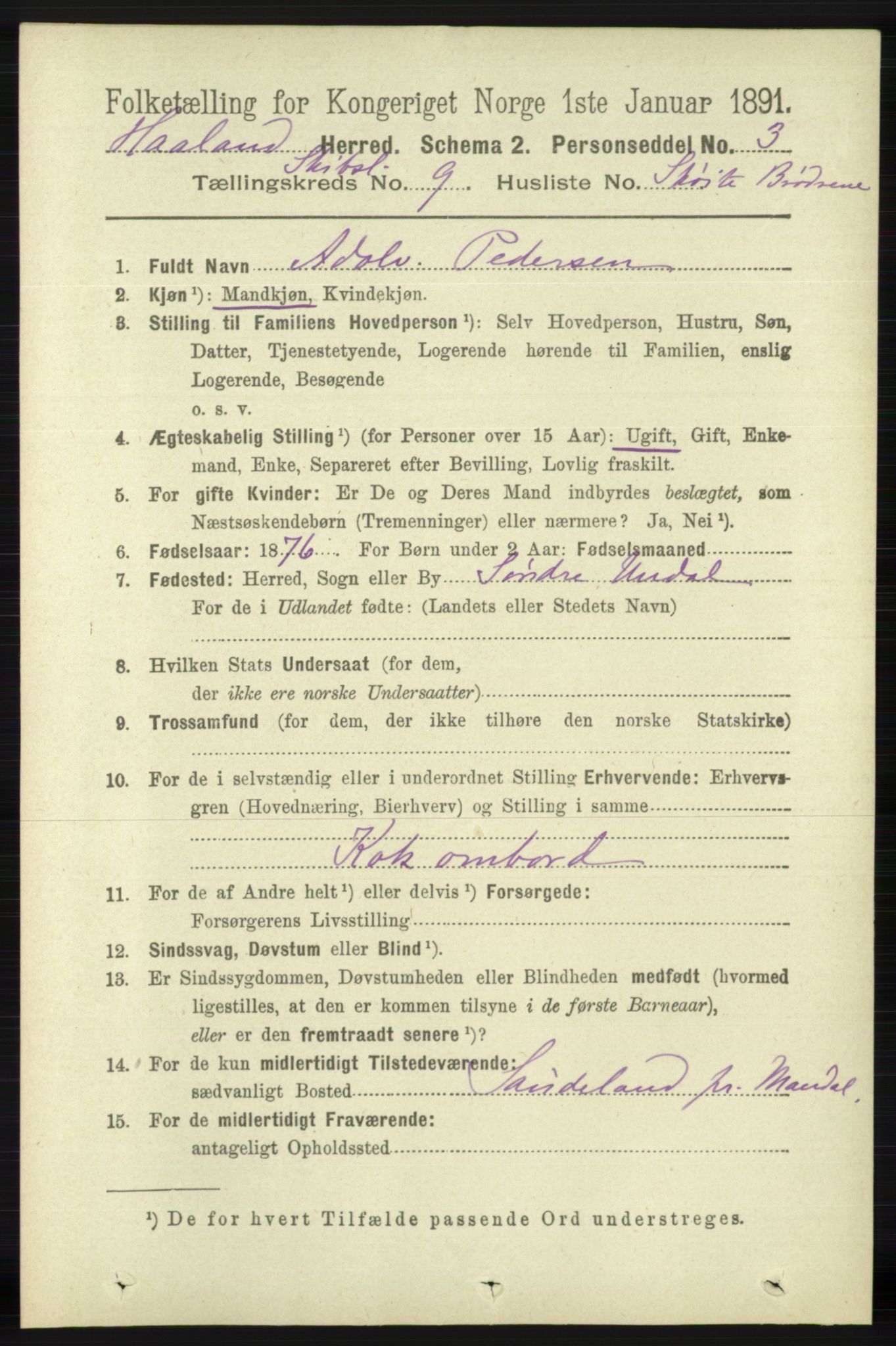 RA, 1891 census for 1124 Haaland, 1891, p. 4100