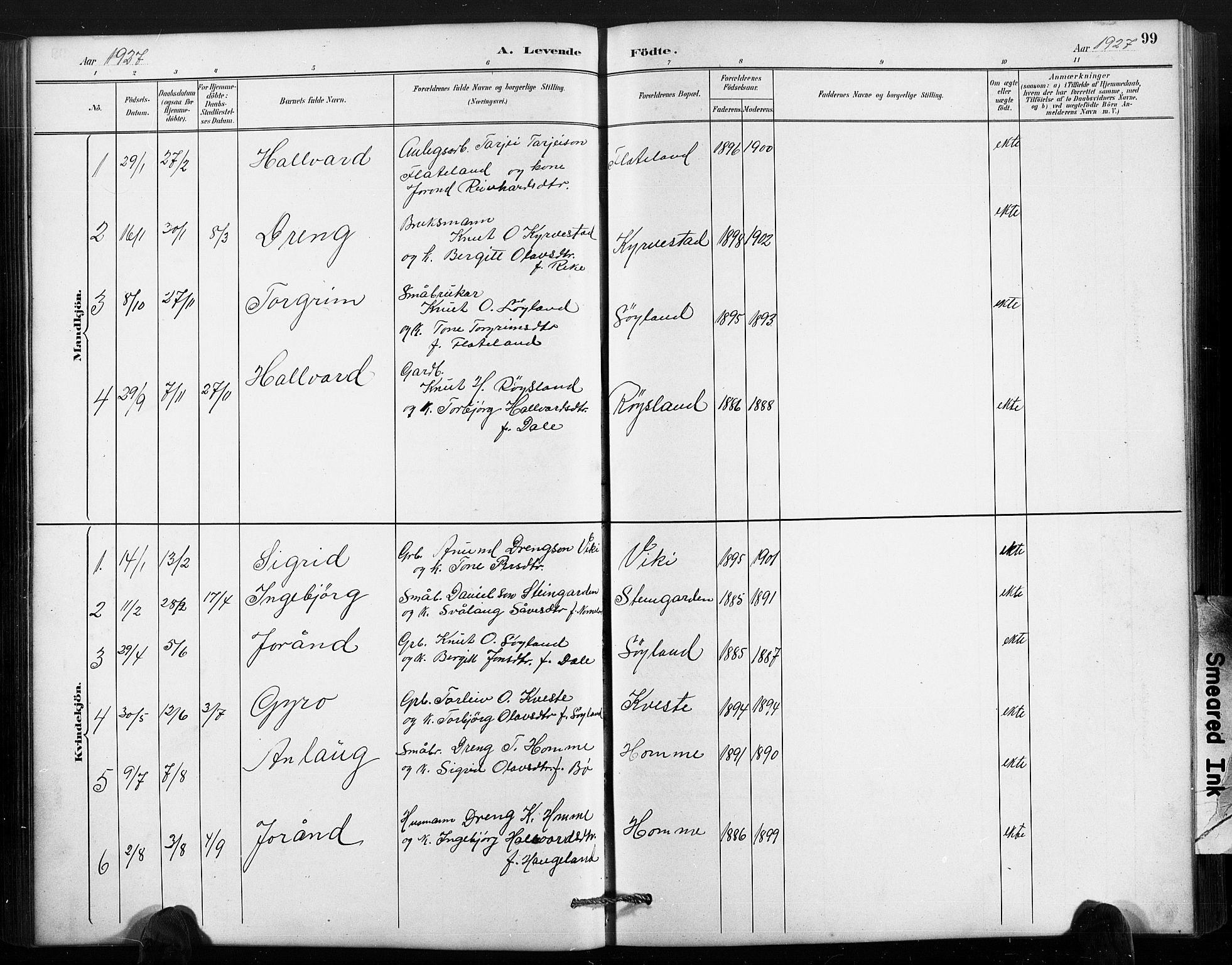 Valle sokneprestkontor, SAK/1111-0044/F/Fb/Fbc/L0004: Parish register (copy) no. B 4, 1890-1928, p. 99