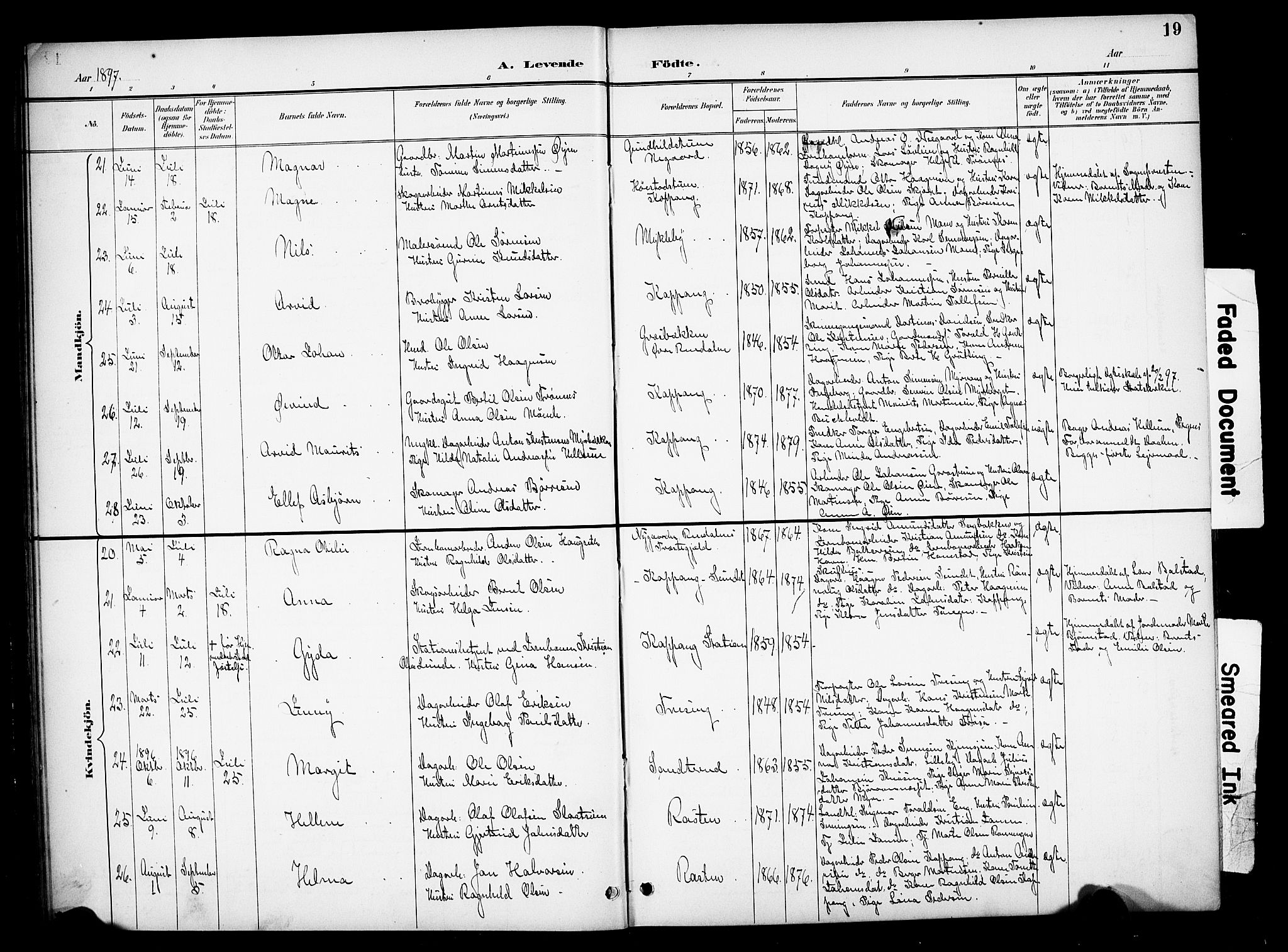 Stor-Elvdal prestekontor, AV/SAH-PREST-052/H/Ha/Hab/L0003: Parish register (copy) no. 3, 1895-1917, p. 19