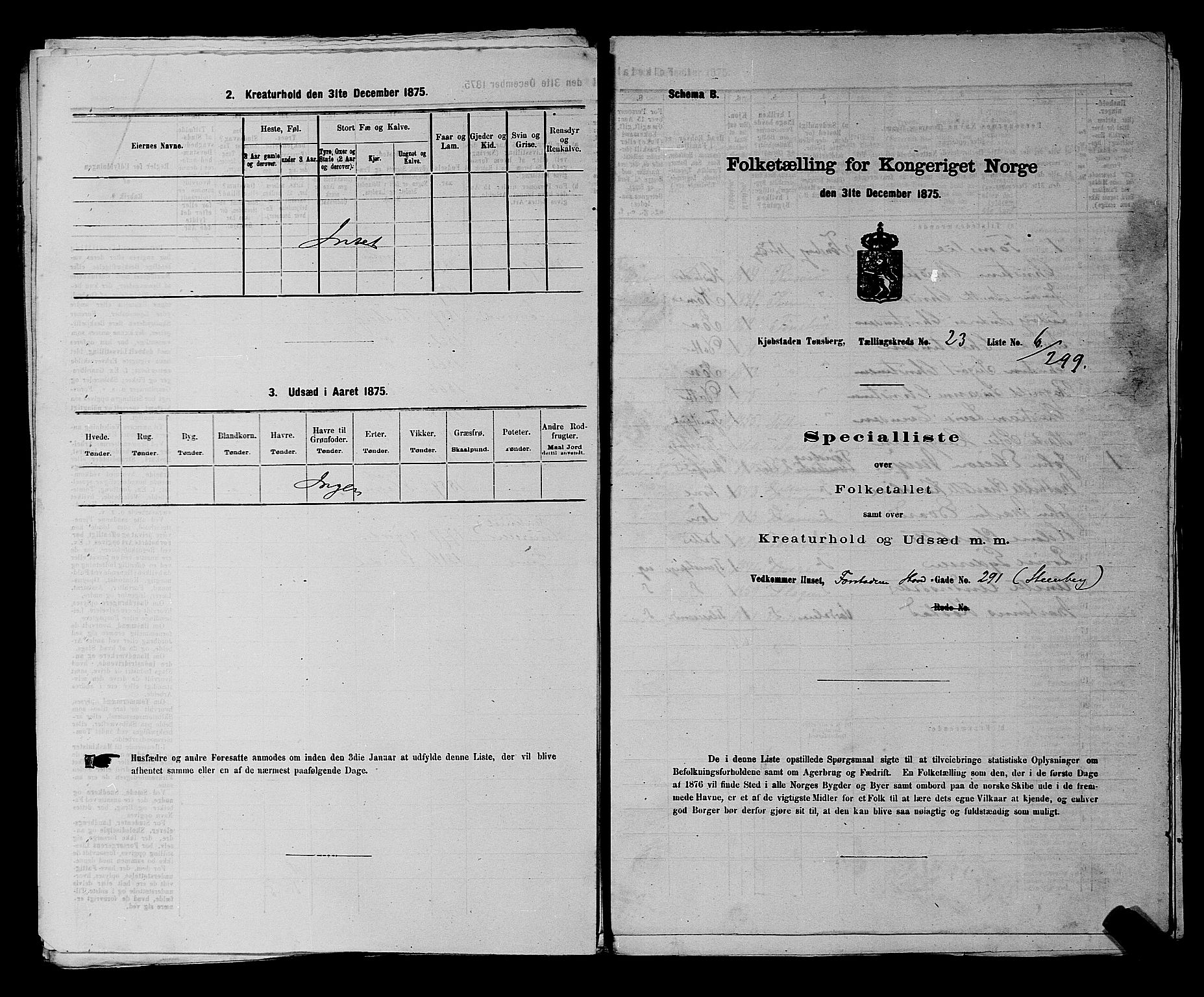 SAKO, 1875 census for 0705P Tønsberg, 1875, p. 734