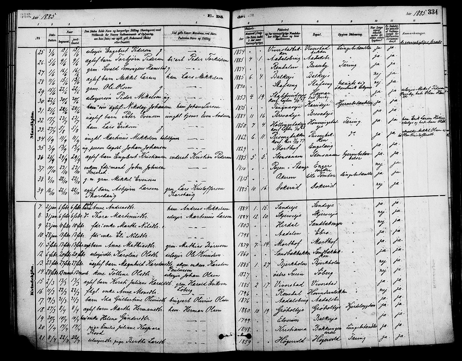 Løten prestekontor, AV/SAH-PREST-022/K/Ka/L0009: Parish register (official) no. 9, 1878-1891, p. 334