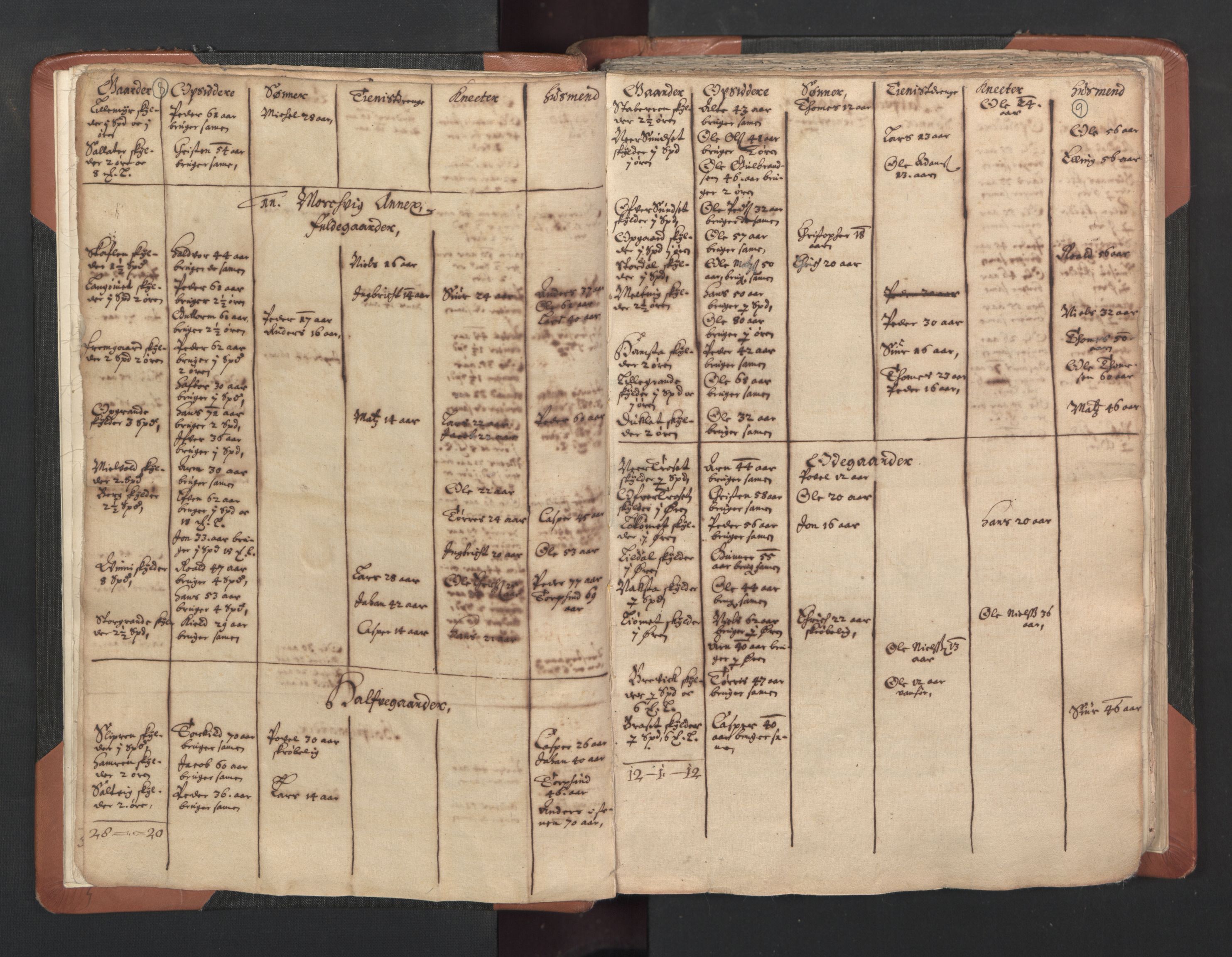 RA, Vicar's Census 1664-1666, no. 33: Innherad deanery, 1664-1666, p. 8-9