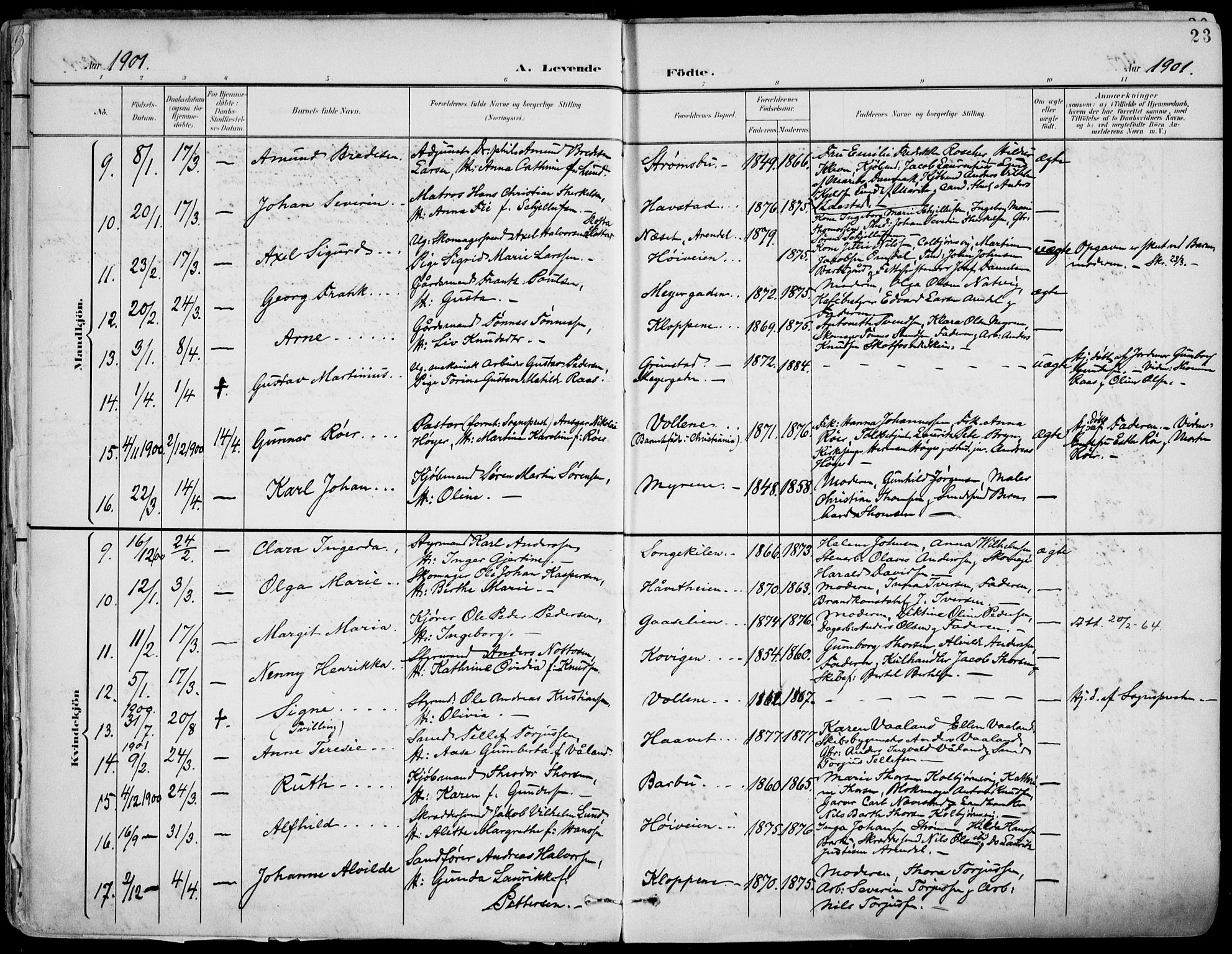 Barbu sokneprestkontor, AV/SAK-1111-0003/F/Fa/L0005: Parish register (official) no. A 5, 1899-1909, p. 23